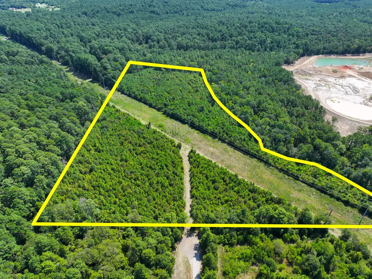 Unimproved Land For Sale in Walker County , 1 Johnson Road, Huntsville, Texas 77320, 0, 0, Garage spaces, 0 Sqft, built in 0, mls#21383042, Real Estate Agent in Huntsville, Homes For Sale in Walker county, Homes For Sale in Huntsville, Realtor in Huntsville Texas, Real Estate Brokerage Independent Realty Texas, Luminita Cordes Realtor