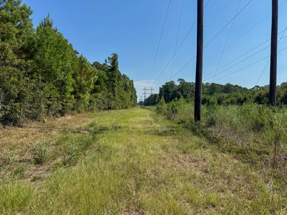Unimproved Land For Sale in Walker County , 1 Johnson Road, Huntsville, Texas 77320, 0, 0, Garage spaces, 0 Sqft, built in 0, mls#21383042, Real Estate Agent in Huntsville, Homes For Sale in Walker county, Homes For Sale in Huntsville, Realtor in Huntsville Texas, Real Estate Brokerage Independent Realty Texas, Luminita Cordes Realtor