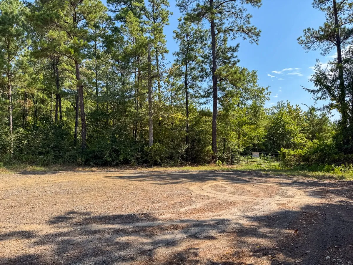 Unimproved Land For Sale in Walker County , 1 Johnson Road, Huntsville, Texas 77320, 0, 0, Garage spaces, 0 Sqft, built in 0, mls#21383042, Real Estate Agent in Huntsville, Homes For Sale in Walker county, Homes For Sale in Huntsville, Realtor in Huntsville Texas, Real Estate Brokerage Independent Realty Texas, Luminita Cordes Realtor