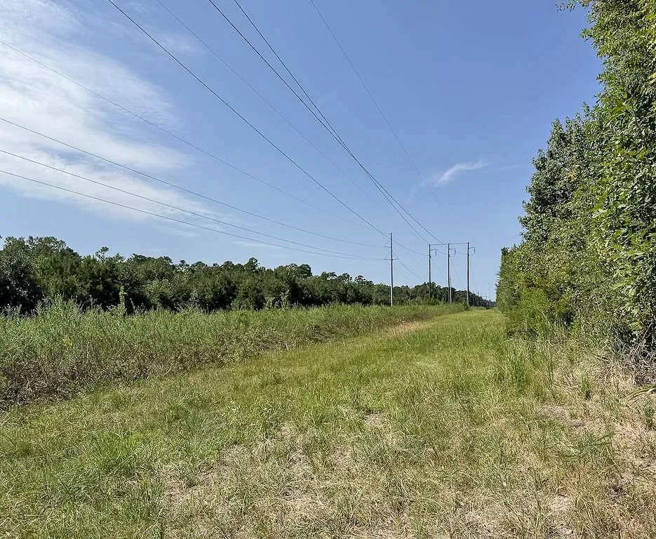 Unimproved Land For Sale in Walker County , 1 Johnson Road, Huntsville, Texas 77320, 0, 0, Garage spaces, 0 Sqft, built in 0, mls#21383042, Real Estate Agent in Huntsville, Homes For Sale in Walker county, Homes For Sale in Huntsville, Realtor in Huntsville Texas, Real Estate Brokerage Independent Realty Texas, Luminita Cordes Realtor
