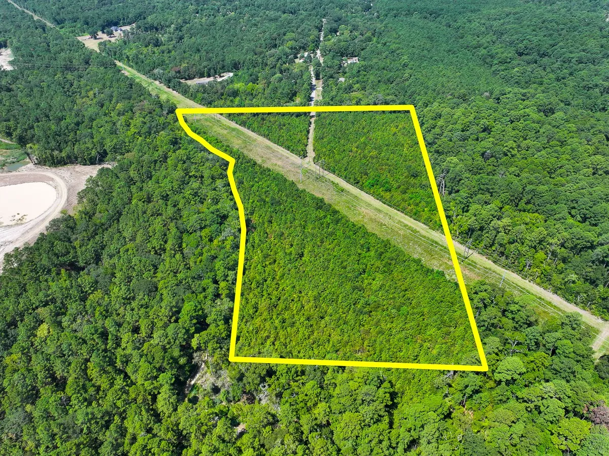 Unimproved Land For Sale in Walker County , 1 Johnson Road, Huntsville, Texas 77320, 0, 0, Garage spaces, 0 Sqft, built in 0, mls#21383042, Real Estate Agent in Huntsville, Homes For Sale in Walker county, Homes For Sale in Huntsville, Realtor in Huntsville Texas, Real Estate Brokerage Independent Realty Texas, Luminita Cordes Realtor