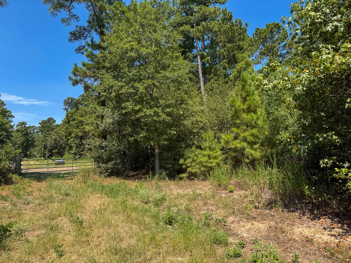 Unimproved Land For Sale in Walker County , 1 Johnson Road, Huntsville, Texas 77320, 0, 0, Garage spaces, 0 Sqft, built in 0, mls#21383042, Real Estate Agent in Huntsville, Homes For Sale in Walker county, Homes For Sale in Huntsville, Realtor in Huntsville Texas, Real Estate Brokerage Independent Realty Texas, Luminita Cordes Realtor
