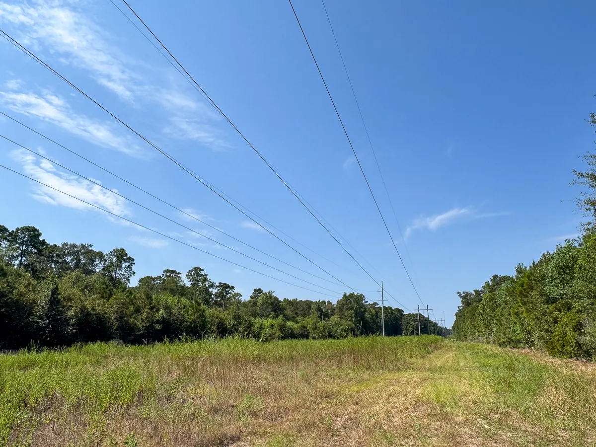 Unimproved Land For Sale in Walker County , 1 Johnson Road, Huntsville, Texas 77320, 0, 0, Garage spaces, 0 Sqft, built in 0, mls#21383042, Real Estate Agent in Huntsville, Homes For Sale in Walker county, Homes For Sale in Huntsville, Realtor in Huntsville Texas, Real Estate Brokerage Independent Realty Texas, Luminita Cordes Realtor