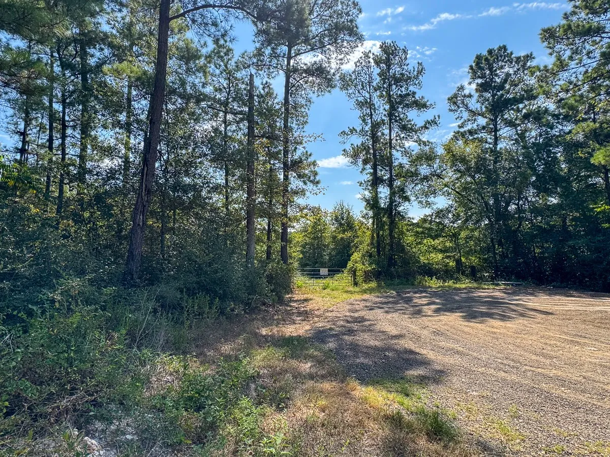 Unimproved Land For Sale in Walker County , 1 Johnson Road, Huntsville, Texas 77320, 0, 0, Garage spaces, 0 Sqft, built in 0, mls#21383042, Real Estate Agent in Huntsville, Homes For Sale in Walker county, Homes For Sale in Huntsville, Realtor in Huntsville Texas, Real Estate Brokerage Independent Realty Texas, Luminita Cordes Realtor