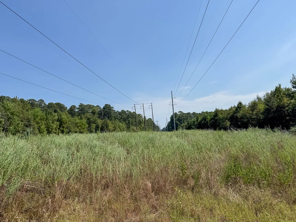Unimproved Land For Sale in Walker County , 1 Johnson Road, Huntsville, Texas 77320, 0, 0, Garage spaces, 0 Sqft, built in 0, mls#21383042, Real Estate Agent in Huntsville, Homes For Sale in Walker county, Homes For Sale in Huntsville, Realtor in Huntsville Texas, Real Estate Brokerage Independent Realty Texas, Luminita Cordes Realtor