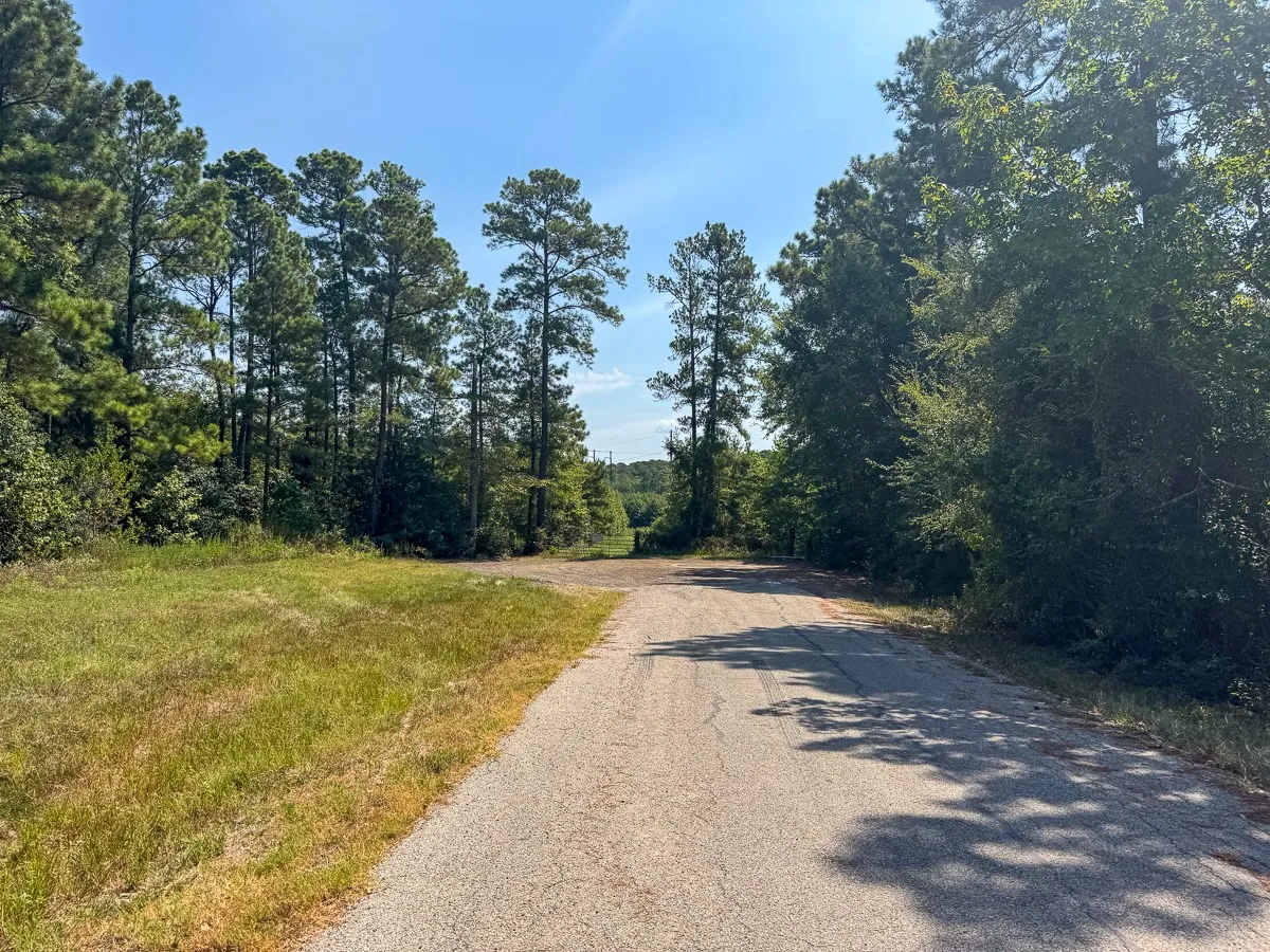 Unimproved Land For Sale in Walker County , 1 Johnson Road, Huntsville, Texas 77320, 0, 0, Garage spaces, 0 Sqft, built in 0, mls#21383042, Real Estate Agent in Huntsville, Homes For Sale in Walker county, Homes For Sale in Huntsville, Realtor in Huntsville Texas, Real Estate Brokerage Independent Realty Texas, Luminita Cordes Realtor