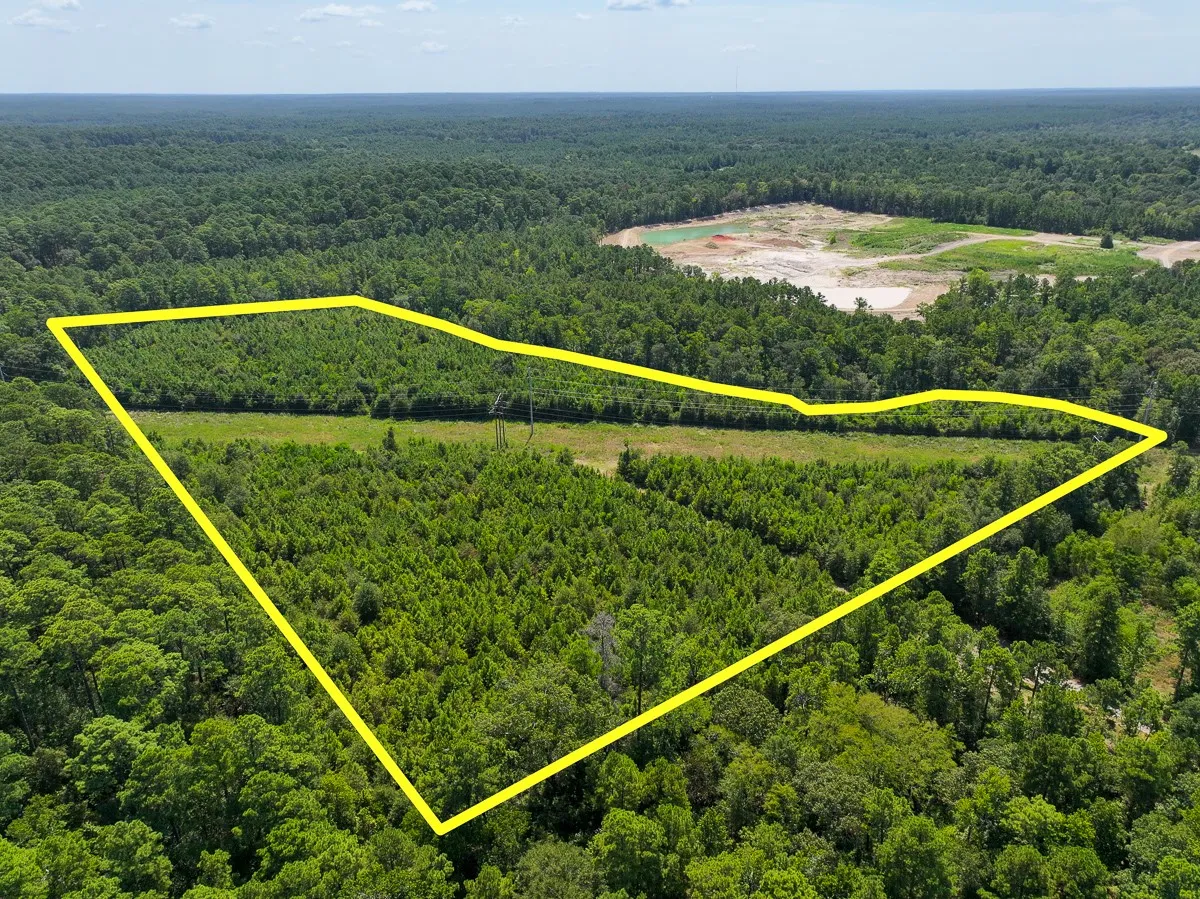 Unimproved Land For Sale in Walker County , 1 Johnson Road, Huntsville, Texas 77320, 0, 0, Garage spaces, 0 Sqft, built in 0, mls#21383042, Real Estate Agent in Huntsville, Homes For Sale in Walker county, Homes For Sale in Huntsville, Realtor in Huntsville Texas, Real Estate Brokerage Independent Realty Texas, Luminita Cordes Realtor