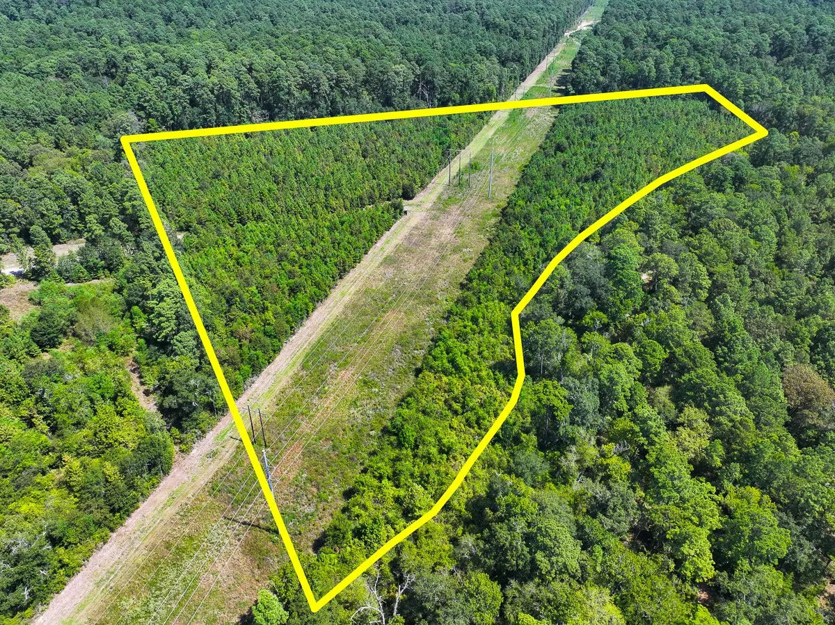 Unimproved Land For Sale in Walker County , 1 Johnson Road, Huntsville, Texas 77320, 0, 0, Garage spaces, 0 Sqft, built in 0, mls#21383042, Real Estate Agent in Huntsville, Homes For Sale in Walker county, Homes For Sale in Huntsville, Realtor in Huntsville Texas, Real Estate Brokerage Independent Realty Texas, Luminita Cordes Realtor