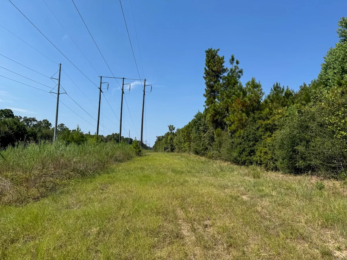 Unimproved Land For Sale in Walker County , 1 Johnson Road, Huntsville, Texas 77320, 0, 0, Garage spaces, 0 Sqft, built in 0, mls#21383042, Real Estate Agent in Huntsville, Homes For Sale in Walker county, Homes For Sale in Huntsville, Realtor in Huntsville Texas, Real Estate Brokerage Independent Realty Texas, Luminita Cordes Realtor