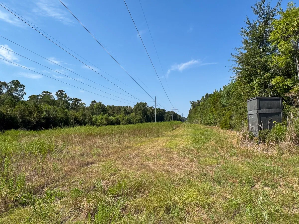 Unimproved Land For Sale in Walker County , 1 Johnson Road, Huntsville, Texas 77320, 0, 0, Garage spaces, 0 Sqft, built in 0, mls#21383042, Real Estate Agent in Huntsville, Homes For Sale in Walker county, Homes For Sale in Huntsville, Realtor in Huntsville Texas, Real Estate Brokerage Independent Realty Texas, Luminita Cordes Realtor