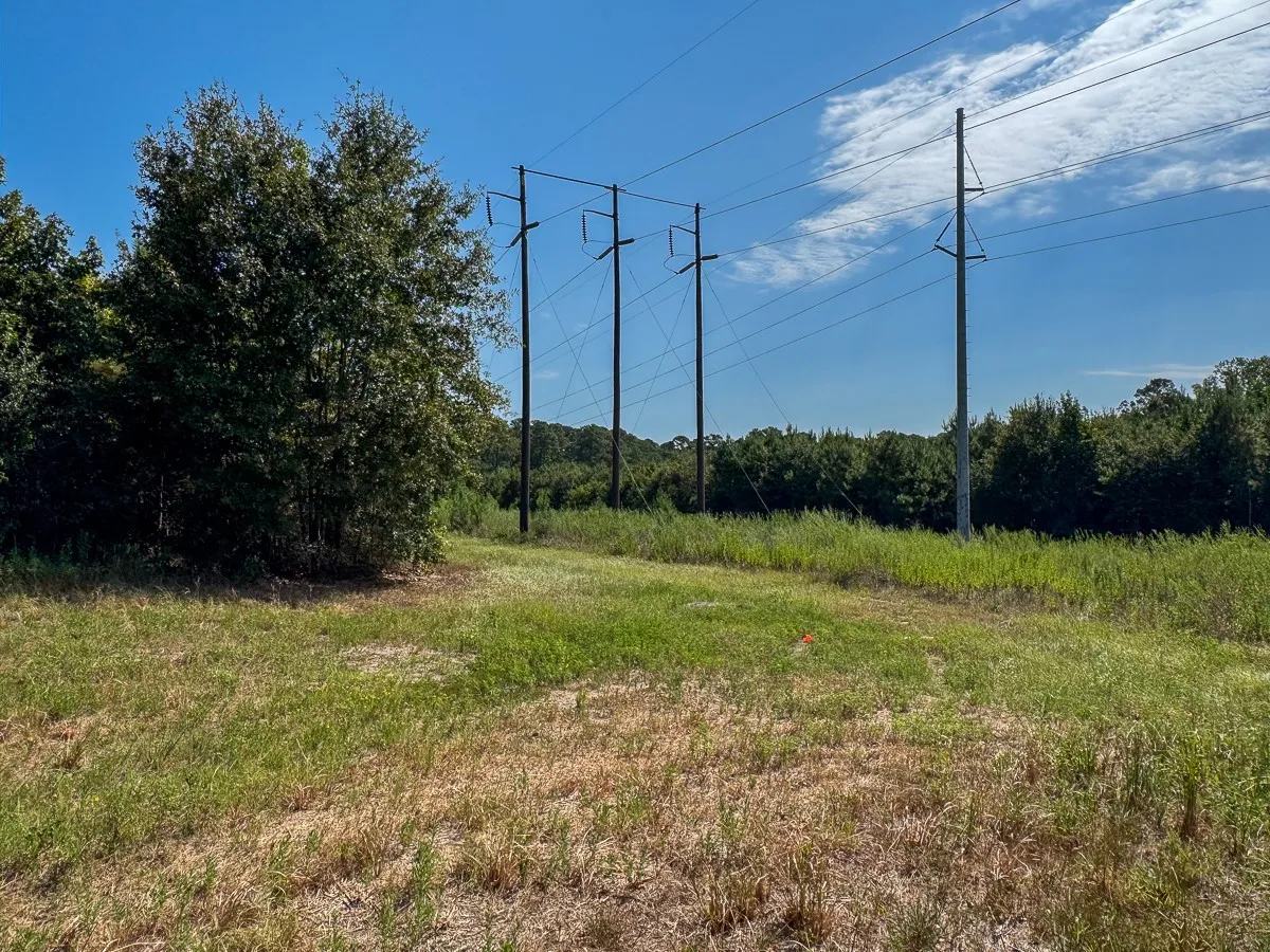 Unimproved Land For Sale in Walker County , 1 Johnson Road, Huntsville, Texas 77320, 0, 0, Garage spaces, 0 Sqft, built in 0, mls#21383042, Real Estate Agent in Huntsville, Homes For Sale in Walker county, Homes For Sale in Huntsville, Realtor in Huntsville Texas, Real Estate Brokerage Independent Realty Texas, Luminita Cordes Realtor