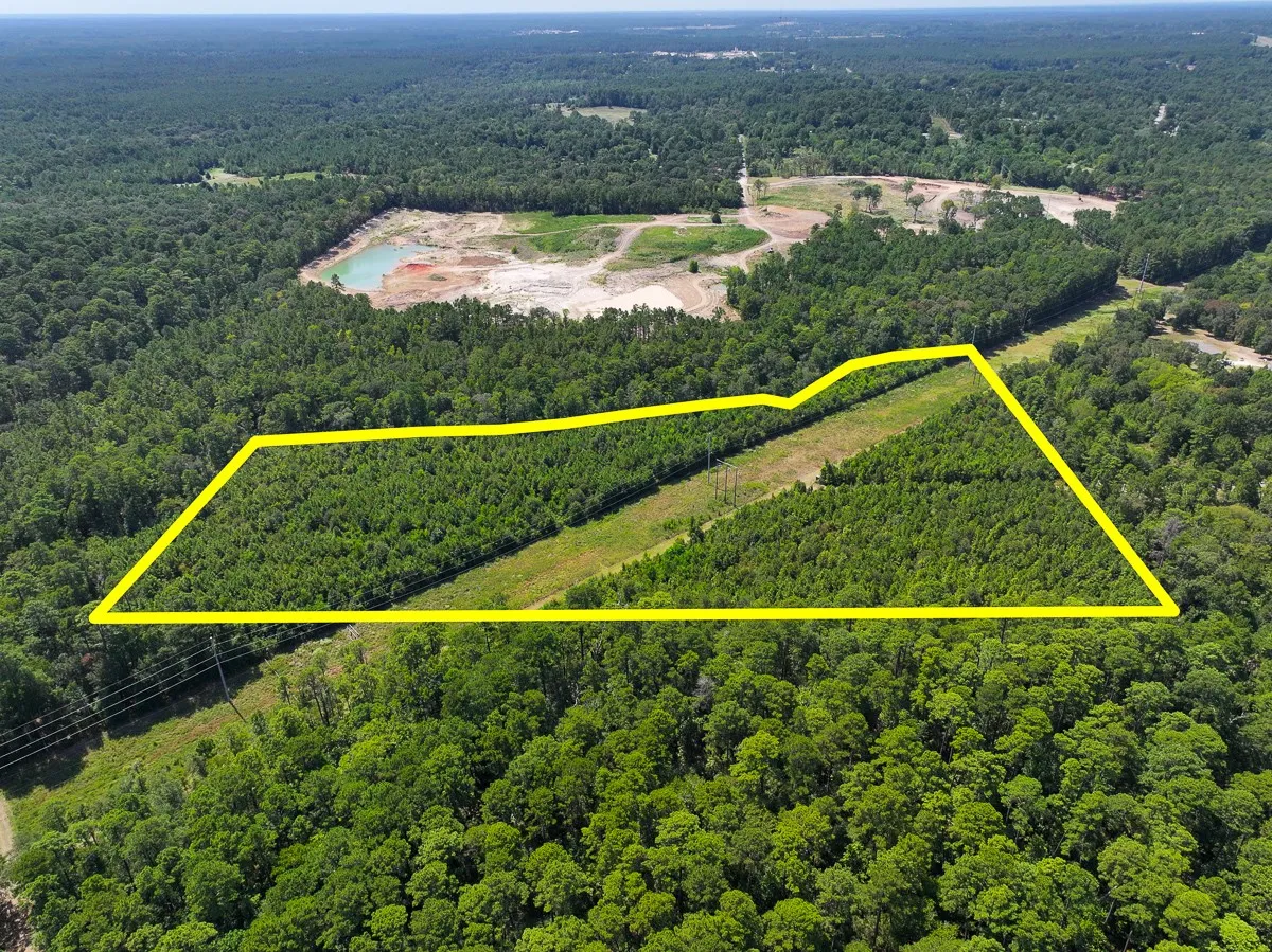 Unimproved Land For Sale in Walker County , 1 Johnson Road, Huntsville, Texas 77320, 0, 0, Garage spaces, 0 Sqft, built in 0, mls#21383042, Real Estate Agent in Huntsville, Homes For Sale in Walker county, Homes For Sale in Huntsville, Realtor in Huntsville Texas, Real Estate Brokerage Independent Realty Texas, Luminita Cordes Realtor