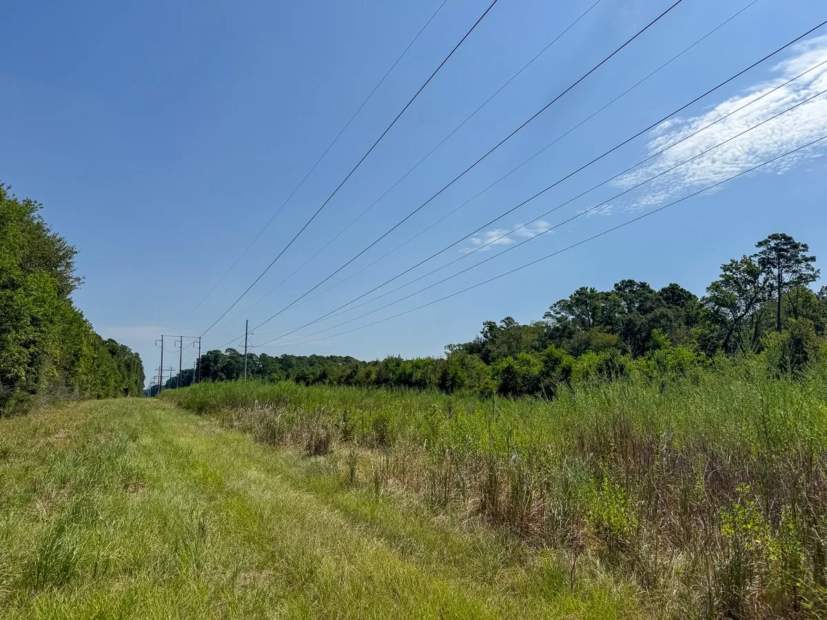 Unimproved Land For Sale in Walker County , 1 Johnson Road, Huntsville, Texas 77320, 0, 0, Garage spaces, 0 Sqft, built in 0, mls#21383042, Real Estate Agent in Huntsville, Homes For Sale in Walker county, Homes For Sale in Huntsville, Realtor in Huntsville Texas, Real Estate Brokerage Independent Realty Texas, Luminita Cordes Realtor