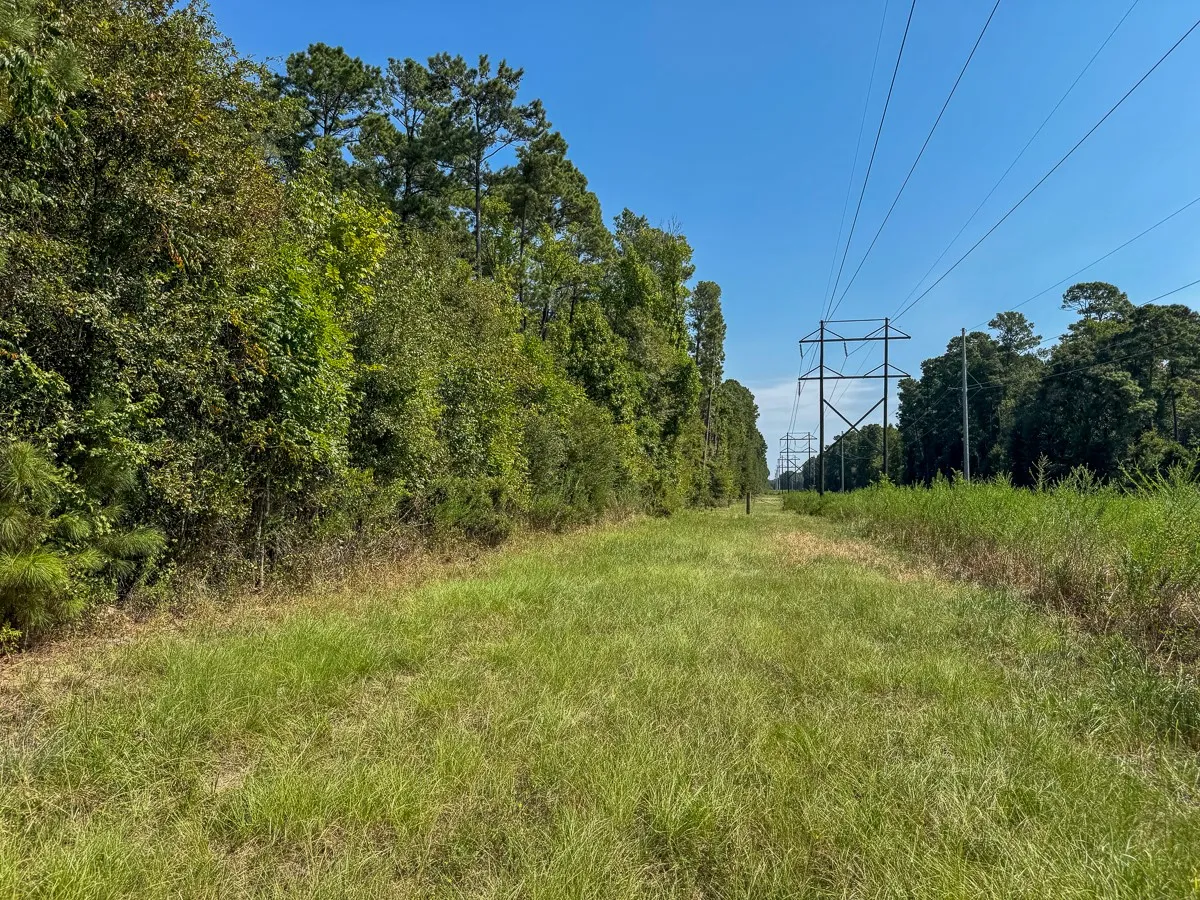 Unimproved Land For Sale in Walker County , 1 Johnson Road, Huntsville, Texas 77320, 0, 0, Garage spaces, 0 Sqft, built in 0, mls#21383042, Real Estate Agent in Huntsville, Homes For Sale in Walker county, Homes For Sale in Huntsville, Realtor in Huntsville Texas, Real Estate Brokerage Independent Realty Texas, Luminita Cordes Realtor