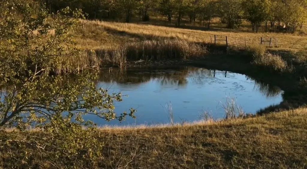 Farm For Sale in Ellis County , 1179 E FM 813, Palmer, Texas 75152, 3 Bedroom, 3 Bathroom, 1 Garage spaces, 2,988 Sqft, built in 2006, mls#21383071, Real Estate Agent in Palmer, Homes For Sale in Ellis county, Homes For Sale in Palmer, Realtor in Palmer Texas, Real Estate Brokerage Independent Realty Texas, Luminita Cordes Realtor