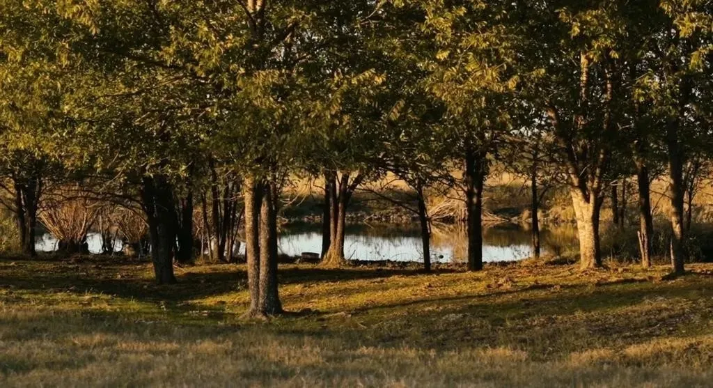 Farm For Sale in Ellis County , 1179 E FM 813, Palmer, Texas 75152, 3 Bedroom, 3 Bathroom, 1 Garage spaces, 2,988 Sqft, built in 2006, mls#21383071, Real Estate Agent in Palmer, Homes For Sale in Ellis county, Homes For Sale in Palmer, Realtor in Palmer Texas, Real Estate Brokerage Independent Realty Texas, Luminita Cordes Realtor