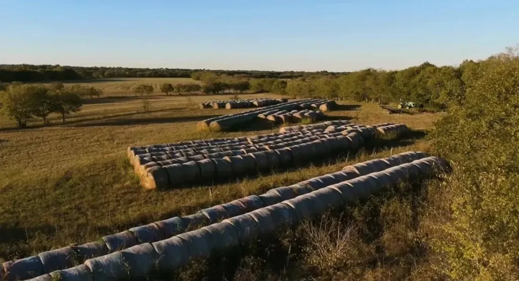 Farm For Sale in Ellis County , 1179 E FM 813, Palmer, Texas 75152, 3 Bedroom, 3 Bathroom, 1 Garage spaces, 2,988 Sqft, built in 2006, mls#21383071, Real Estate Agent in Palmer, Homes For Sale in Ellis county, Homes For Sale in Palmer, Realtor in Palmer Texas, Real Estate Brokerage Independent Realty Texas, Luminita Cordes Realtor