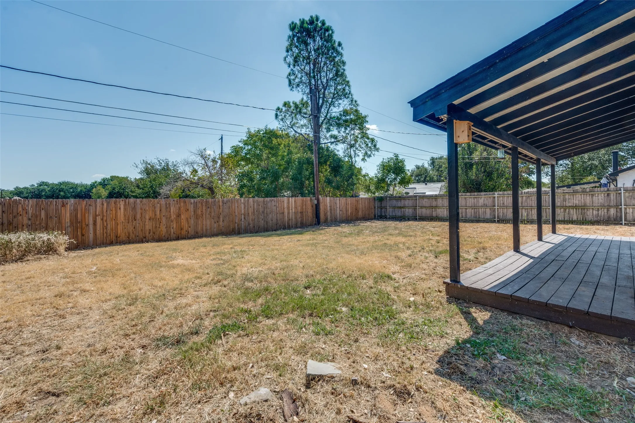 Backyard