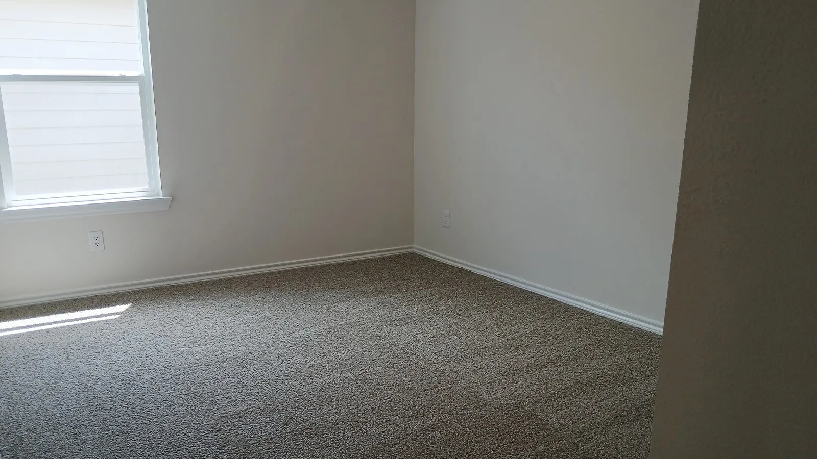 Neutral-toned carpeting and light-colored walls define this room