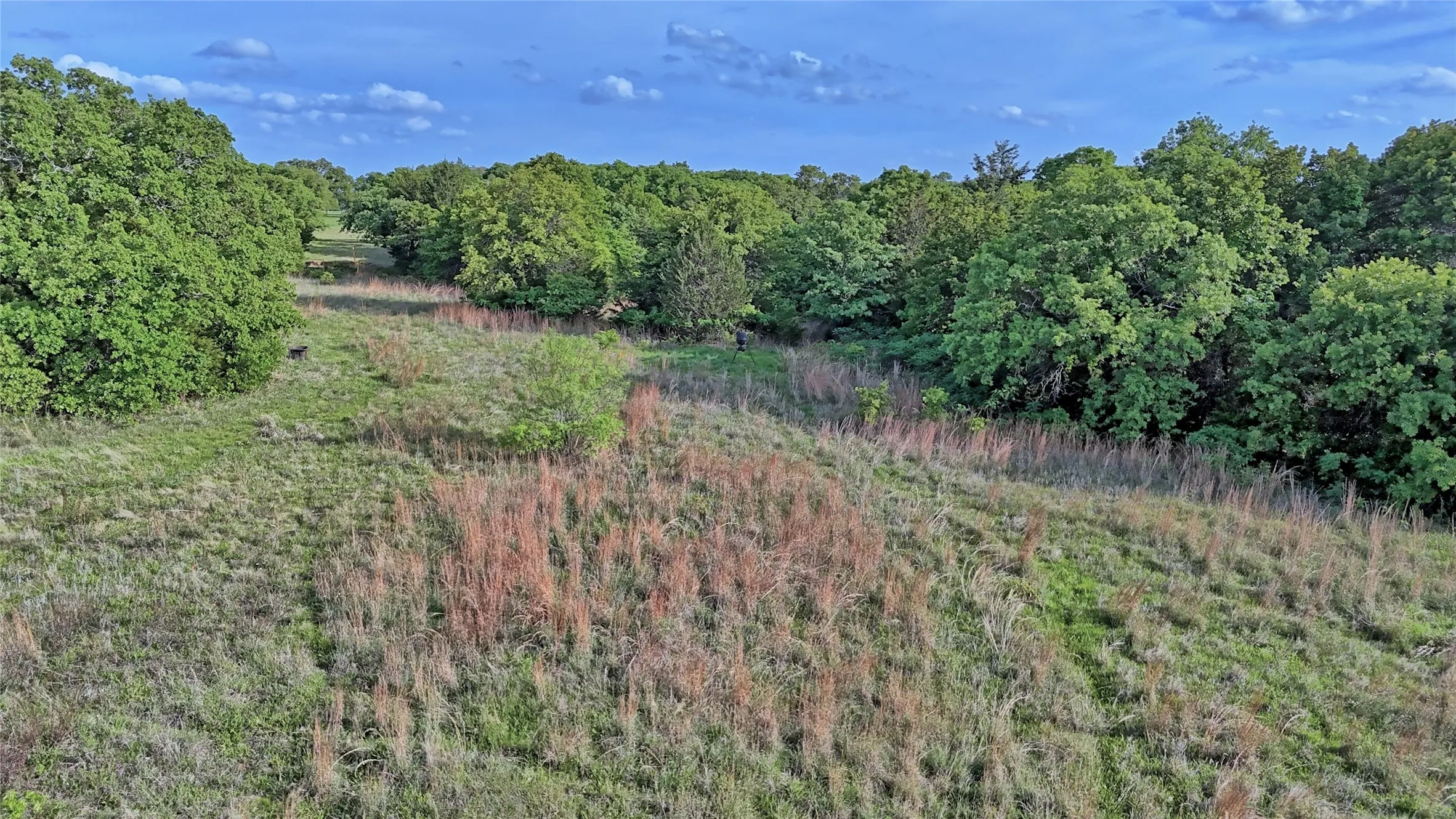 Unimproved Land For Sale in Montague County , 3952 Lake Valley Rd, Sunset, Texas 76270, 0, 0, Garage spaces, 0 Sqft, built in 0, mls#21383027, Real Estate Agent in Sunset, Homes For Sale in Montague county, Homes For Sale in Sunset, Realtor in Sunset Texas, Real Estate Brokerage Independent Realty Texas, Luminita Cordes Realtor