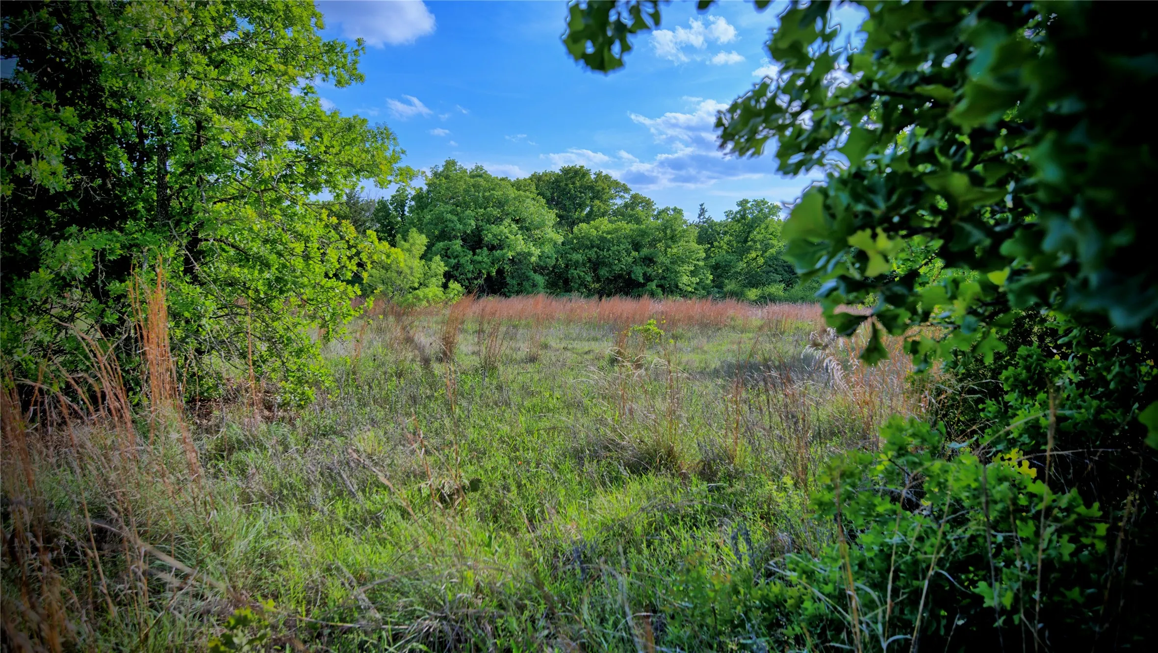 Unimproved Land For Sale in Montague County , 3952 Lake Valley Rd, Sunset, Texas 76270, 0, 0, Garage spaces, 0 Sqft, built in 0, mls#21383027, Real Estate Agent in Sunset, Homes For Sale in Montague county, Homes For Sale in Sunset, Realtor in Sunset Texas, Real Estate Brokerage Independent Realty Texas, Luminita Cordes Realtor
