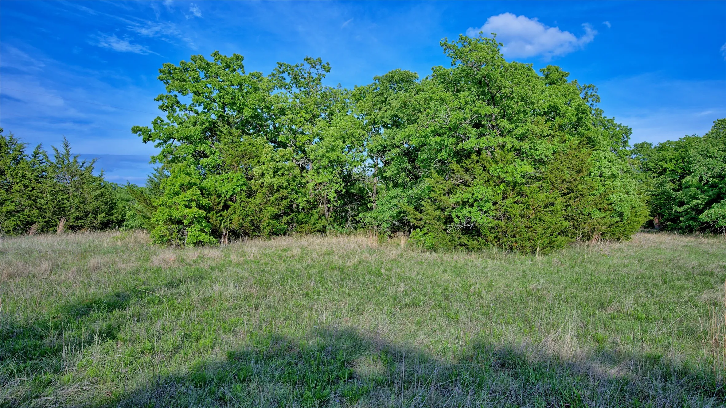 Unimproved Land For Sale in Montague County , 3952 Lake Valley Rd, Sunset, Texas 76270, 0, 0, Garage spaces, 0 Sqft, built in 0, mls#21383027, Real Estate Agent in Sunset, Homes For Sale in Montague county, Homes For Sale in Sunset, Realtor in Sunset Texas, Real Estate Brokerage Independent Realty Texas, Luminita Cordes Realtor