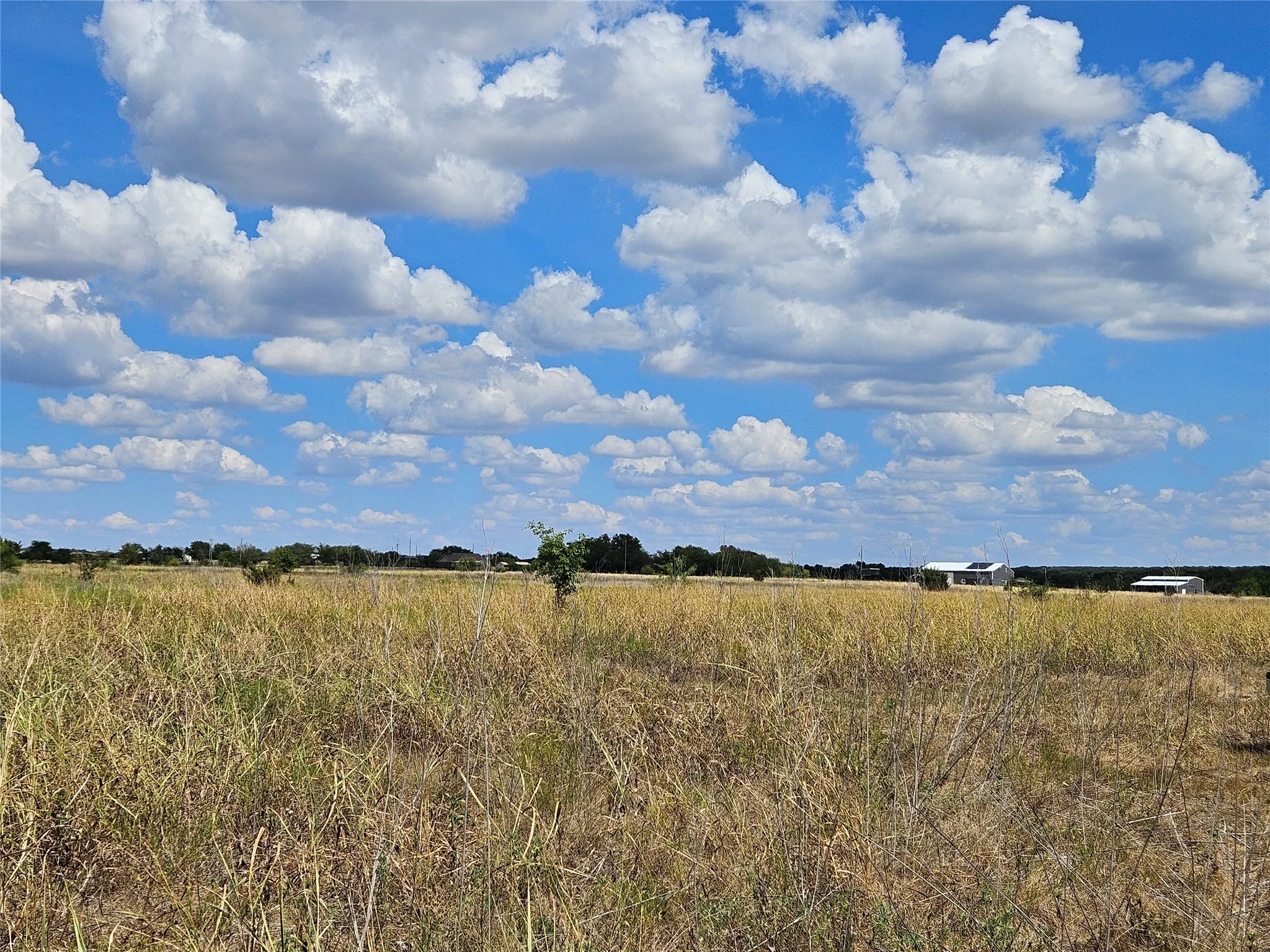 Unimproved Land For Sale in Bosque County , 552 County Road 2655, Walnut Springs, Texas 76690, 0, 0, Garage spaces, 0 Sqft, built in 0, mls#21381305, Real Estate Agent in Walnut Springs, Homes For Sale in Bosque county, Homes For Sale in Walnut Springs, Realtor in Walnut Springs Texas, Real Estate Brokerage Independent Realty Texas, Luminita Cordes Realtor