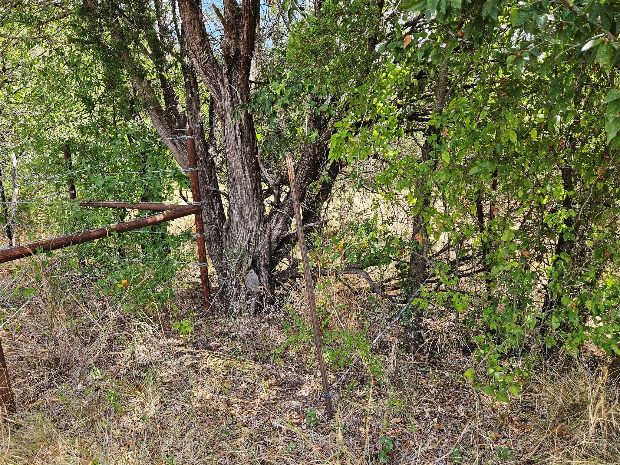 Unimproved Land For Sale in Bosque County , 552 County Road 2655, Walnut Springs, Texas 76690, 0, 0, Garage spaces, 0 Sqft, built in 0, mls#21381305, Real Estate Agent in Walnut Springs, Homes For Sale in Bosque county, Homes For Sale in Walnut Springs, Realtor in Walnut Springs Texas, Real Estate Brokerage Independent Realty Texas, Luminita Cordes Realtor