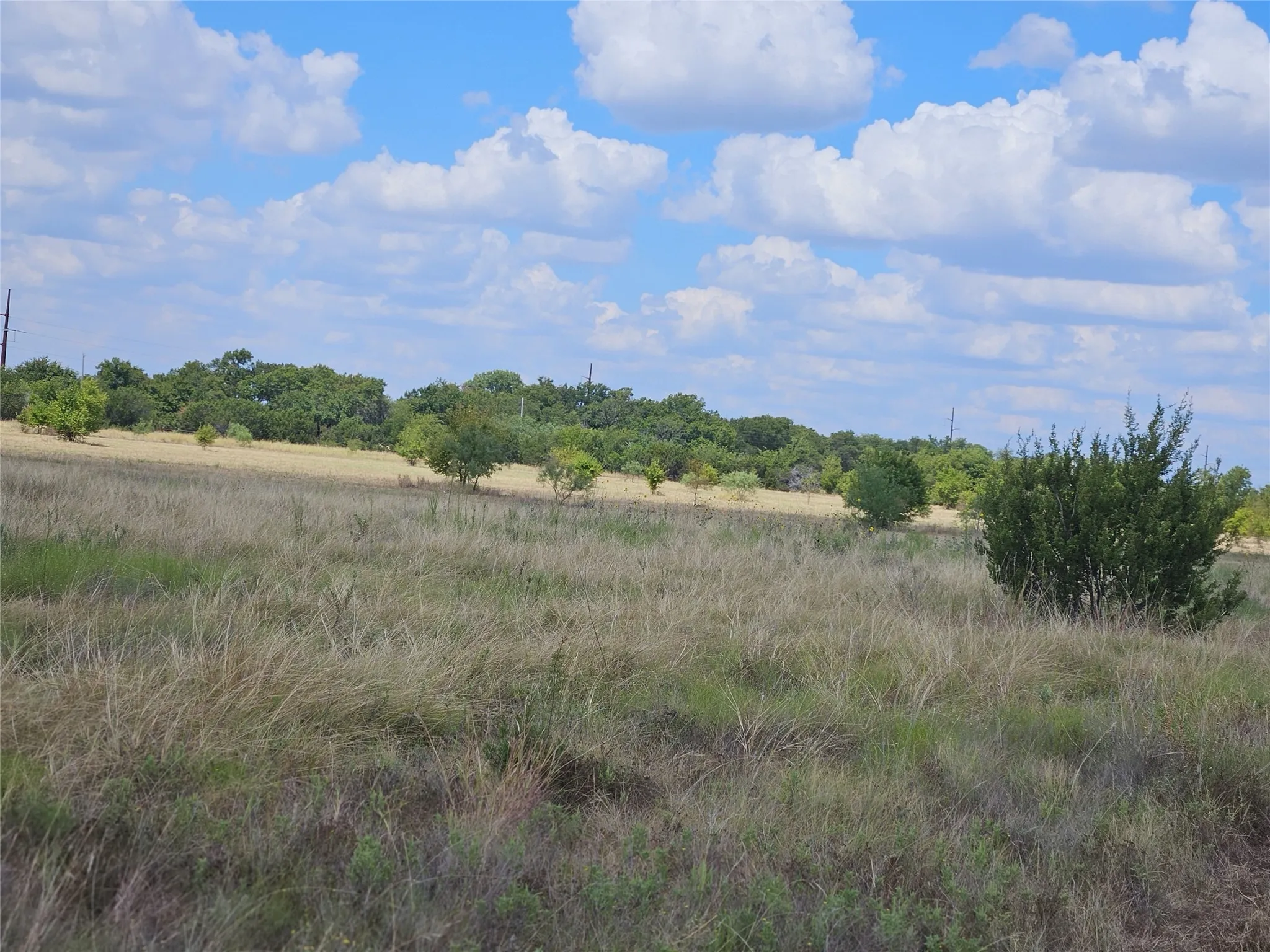 Unimproved Land For Sale in Bosque County , 552 County Road 2655, Walnut Springs, Texas 76690, 0, 0, Garage spaces, 0 Sqft, built in 0, mls#21381305, Real Estate Agent in Walnut Springs, Homes For Sale in Bosque county, Homes For Sale in Walnut Springs, Realtor in Walnut Springs Texas, Real Estate Brokerage Independent Realty Texas, Luminita Cordes Realtor