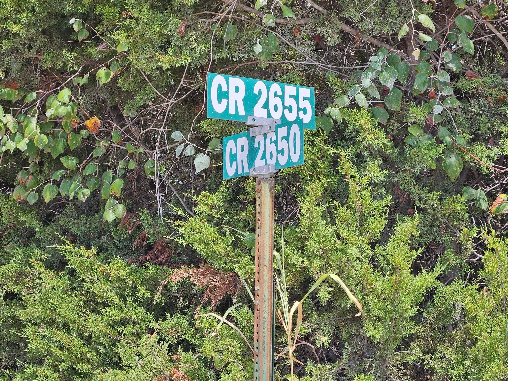 Unimproved Land For Sale in Bosque County , 552 County Road 2655, Walnut Springs, Texas 76690, 0, 0, Garage spaces, 0 Sqft, built in 0, mls#21381305, Real Estate Agent in Walnut Springs, Homes For Sale in Bosque county, Homes For Sale in Walnut Springs, Realtor in Walnut Springs Texas, Real Estate Brokerage Independent Realty Texas, Luminita Cordes Realtor