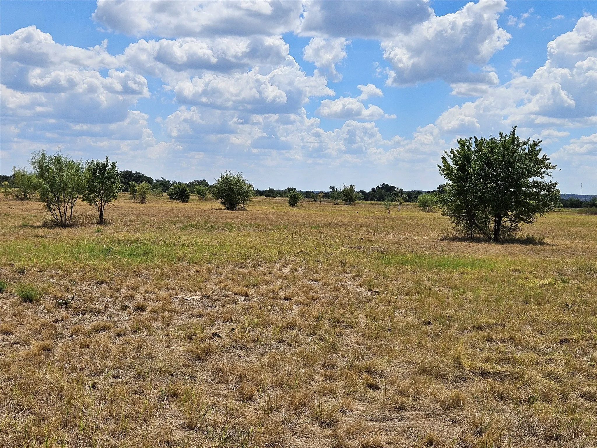 Unimproved Land For Sale in Bosque County , 552 County Road 2655, Walnut Springs, Texas 76690, 0, 0, Garage spaces, 0 Sqft, built in 0, mls#21381305, Real Estate Agent in Walnut Springs, Homes For Sale in Bosque county, Homes For Sale in Walnut Springs, Realtor in Walnut Springs Texas, Real Estate Brokerage Independent Realty Texas, Luminita Cordes Realtor