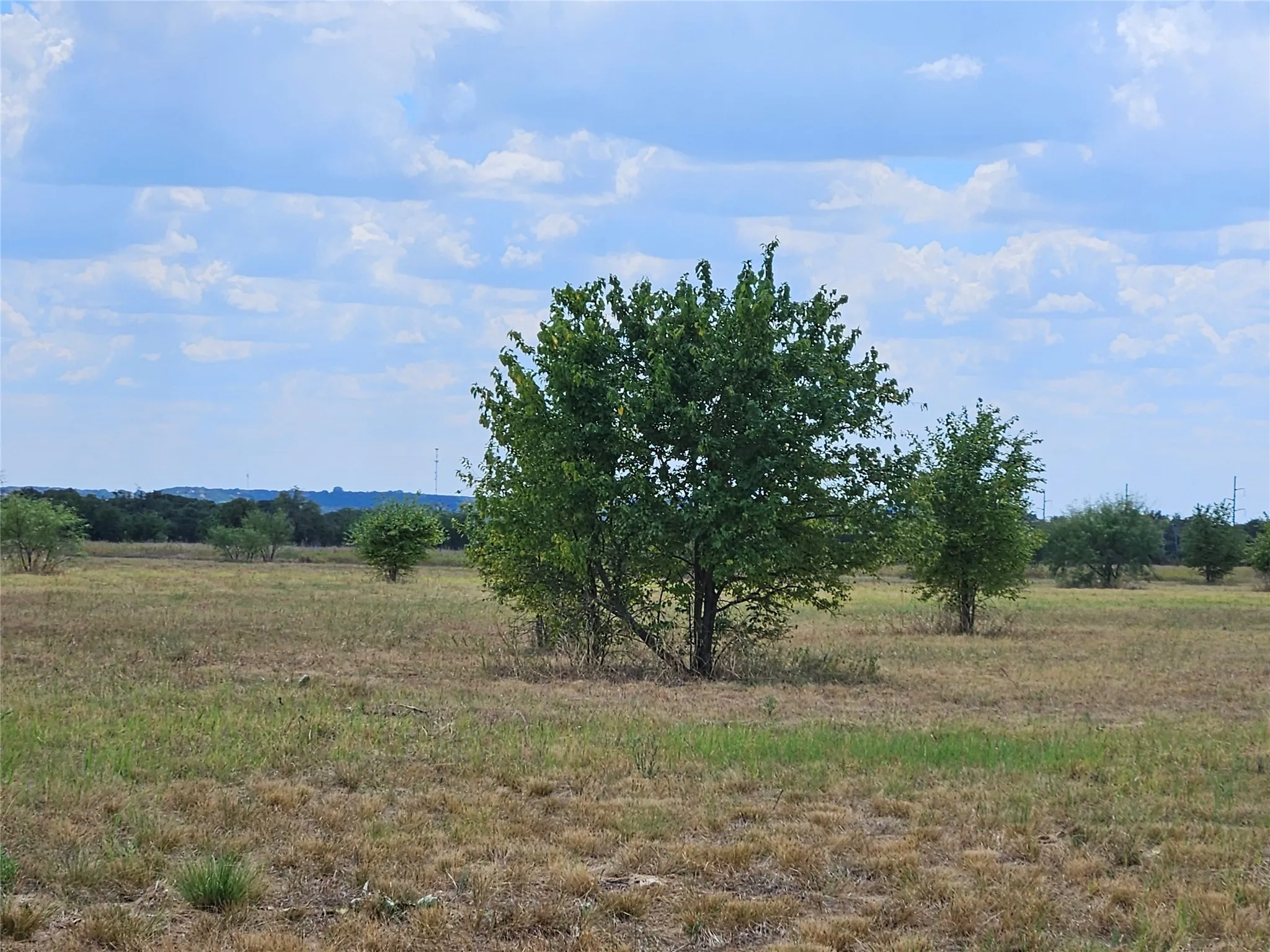 Unimproved Land For Sale in Bosque County , 552 County Road 2655, Walnut Springs, Texas 76690, 0, 0, Garage spaces, 0 Sqft, built in 0, mls#21381305, Real Estate Agent in Walnut Springs, Homes For Sale in Bosque county, Homes For Sale in Walnut Springs, Realtor in Walnut Springs Texas, Real Estate Brokerage Independent Realty Texas, Luminita Cordes Realtor