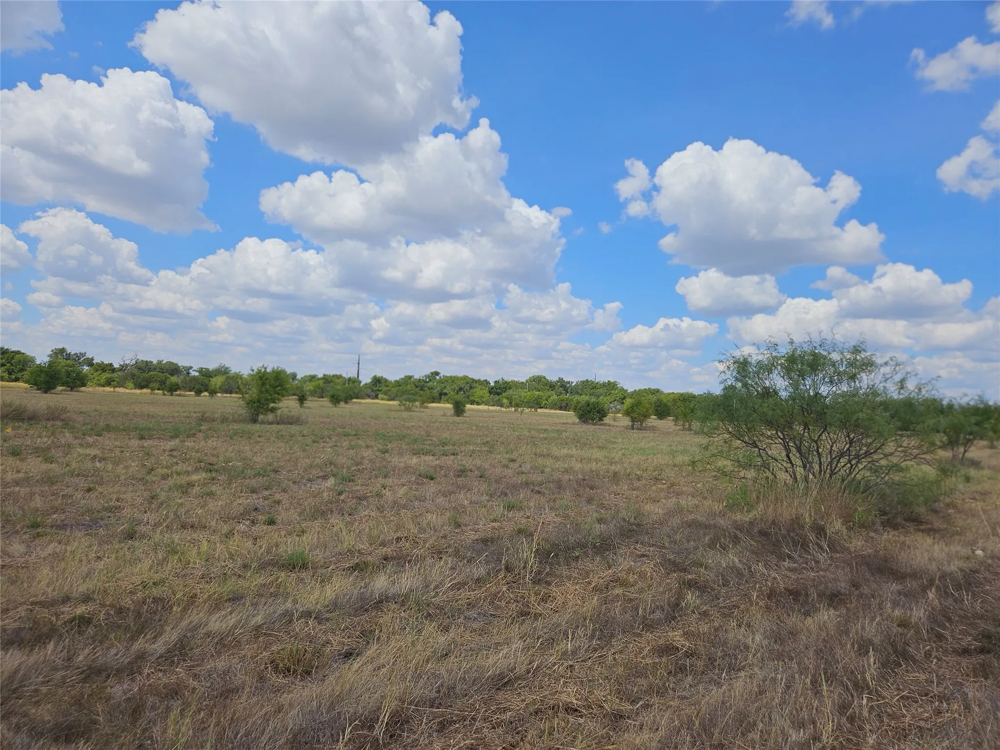 Unimproved Land For Sale in Bosque County , 552 County Road 2655, Walnut Springs, Texas 76690, 0, 0, Garage spaces, 0 Sqft, built in 0, mls#21381305, Real Estate Agent in Walnut Springs, Homes For Sale in Bosque county, Homes For Sale in Walnut Springs, Realtor in Walnut Springs Texas, Real Estate Brokerage Independent Realty Texas, Luminita Cordes Realtor