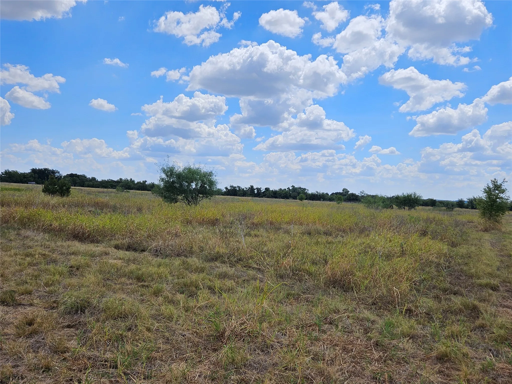 Unimproved Land For Sale in Bosque County , 552 County Road 2655, Walnut Springs, Texas 76690, 0, 0, Garage spaces, 0 Sqft, built in 0, mls#21381305, Real Estate Agent in Walnut Springs, Homes For Sale in Bosque county, Homes For Sale in Walnut Springs, Realtor in Walnut Springs Texas, Real Estate Brokerage Independent Realty Texas, Luminita Cordes Realtor