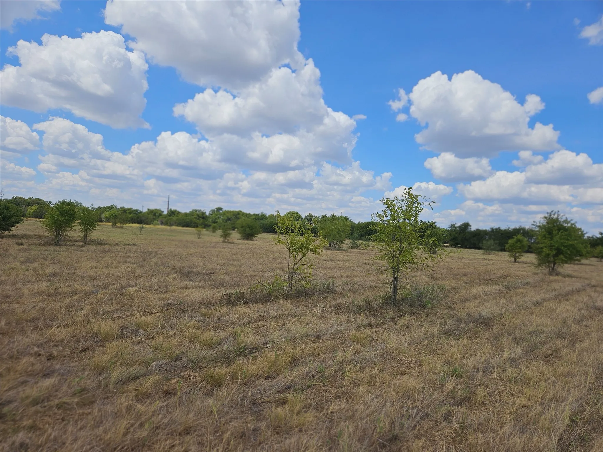 Unimproved Land For Sale in Bosque County , 552 County Road 2655, Walnut Springs, Texas 76690, 0, 0, Garage spaces, 0 Sqft, built in 0, mls#21381305, Real Estate Agent in Walnut Springs, Homes For Sale in Bosque county, Homes For Sale in Walnut Springs, Realtor in Walnut Springs Texas, Real Estate Brokerage Independent Realty Texas, Luminita Cordes Realtor