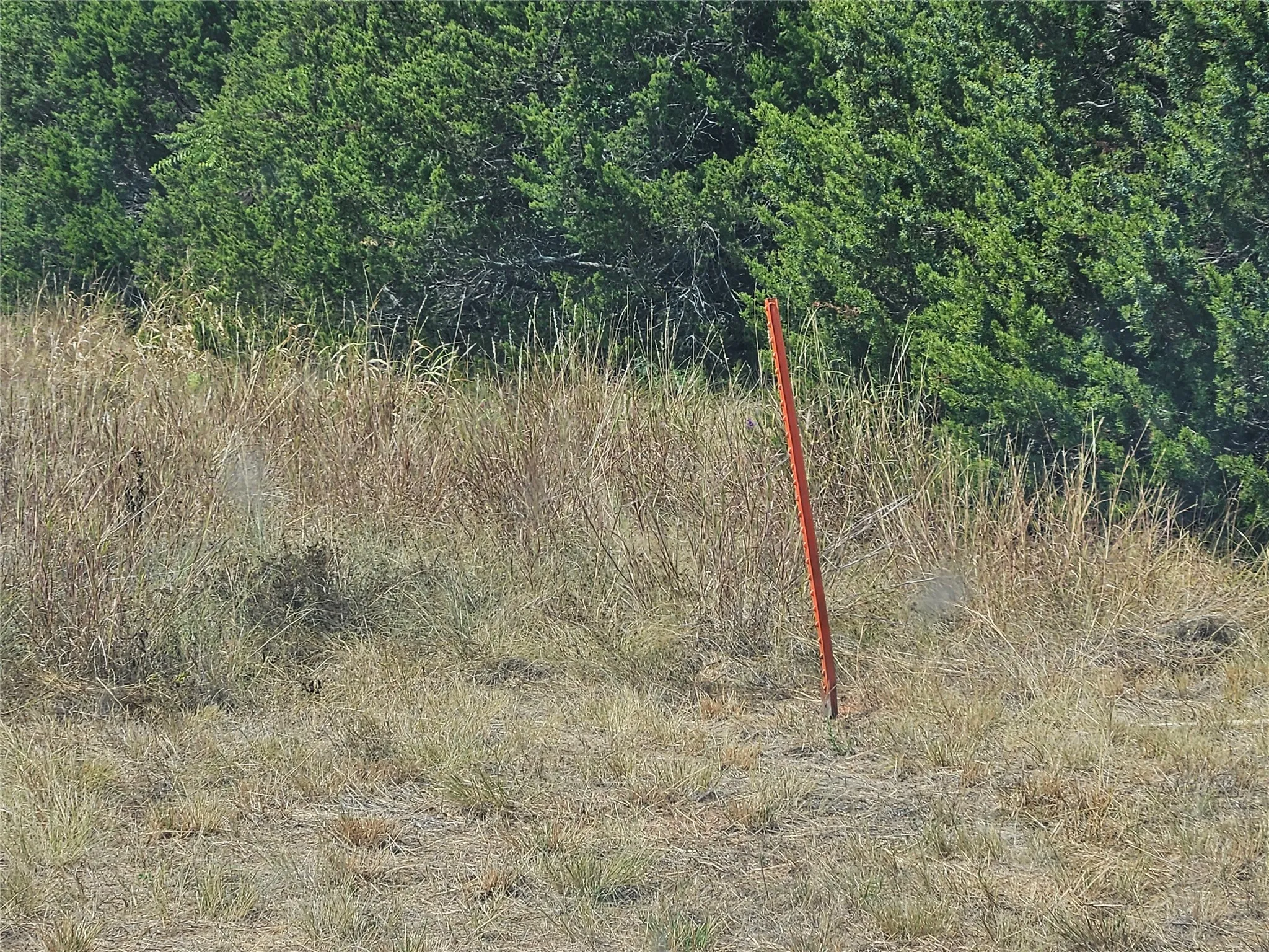 Unimproved Land For Sale in Bosque County , 552 County Road 2655, Walnut Springs, Texas 76690, 0, 0, Garage spaces, 0 Sqft, built in 0, mls#21381305, Real Estate Agent in Walnut Springs, Homes For Sale in Bosque county, Homes For Sale in Walnut Springs, Realtor in Walnut Springs Texas, Real Estate Brokerage Independent Realty Texas, Luminita Cordes Realtor
