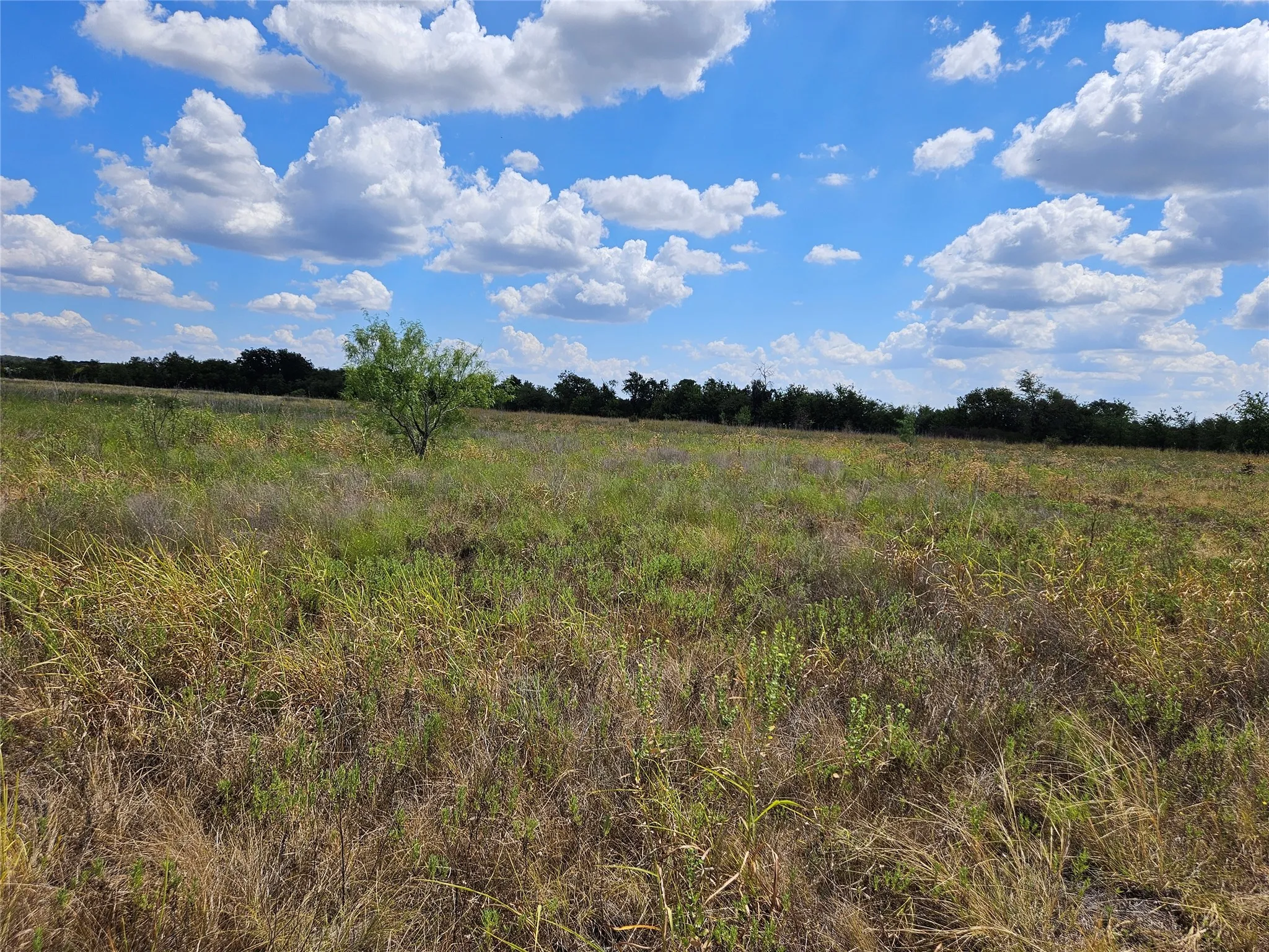 Unimproved Land For Sale in Bosque County , 552 County Road 2655, Walnut Springs, Texas 76690, 0, 0, Garage spaces, 0 Sqft, built in 0, mls#21381305, Real Estate Agent in Walnut Springs, Homes For Sale in Bosque county, Homes For Sale in Walnut Springs, Realtor in Walnut Springs Texas, Real Estate Brokerage Independent Realty Texas, Luminita Cordes Realtor