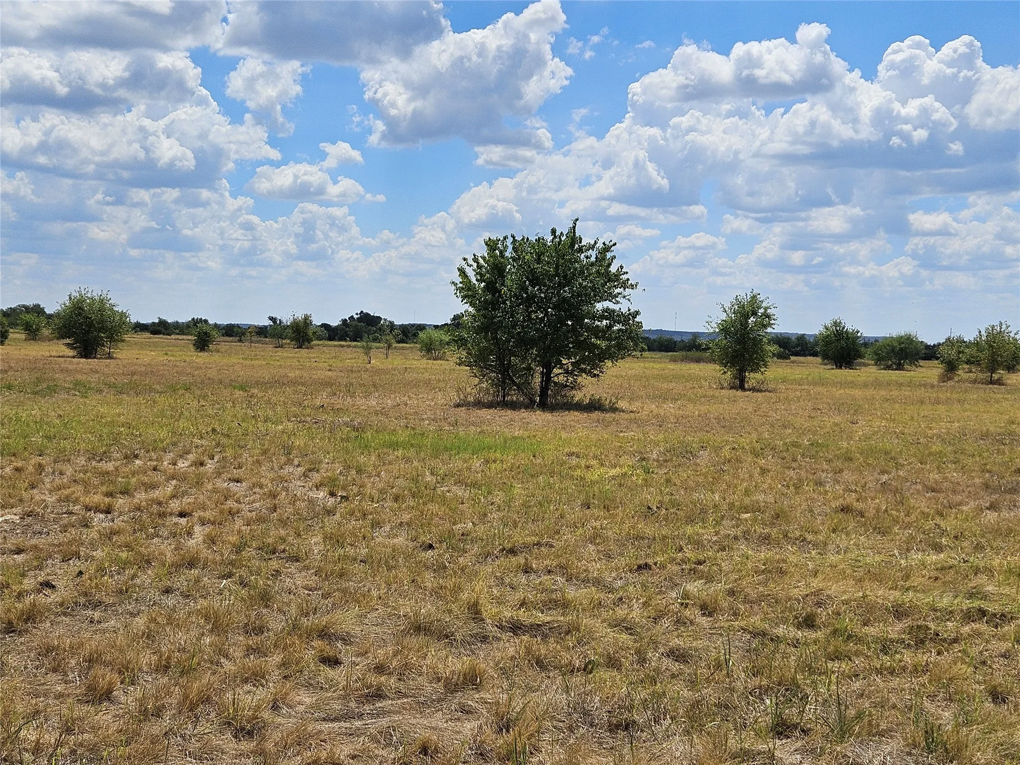 Unimproved Land For Sale in Bosque County , 552 County Road 2655, Walnut Springs, Texas 76690, 0, 0, Garage spaces, 0 Sqft, built in 0, mls#21381305, Real Estate Agent in Walnut Springs, Homes For Sale in Bosque county, Homes For Sale in Walnut Springs, Realtor in Walnut Springs Texas, Real Estate Brokerage Independent Realty Texas, Luminita Cordes Realtor