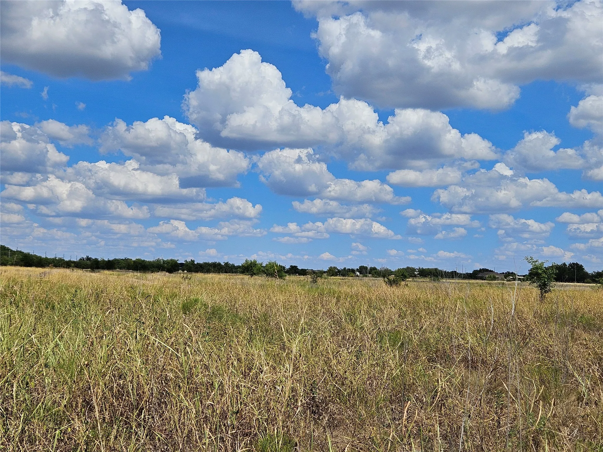 Unimproved Land For Sale in Bosque County , 552 County Road 2655, Walnut Springs, Texas 76690, 0, 0, Garage spaces, 0 Sqft, built in 0, mls#21381305, Real Estate Agent in Walnut Springs, Homes For Sale in Bosque county, Homes For Sale in Walnut Springs, Realtor in Walnut Springs Texas, Real Estate Brokerage Independent Realty Texas, Luminita Cordes Realtor