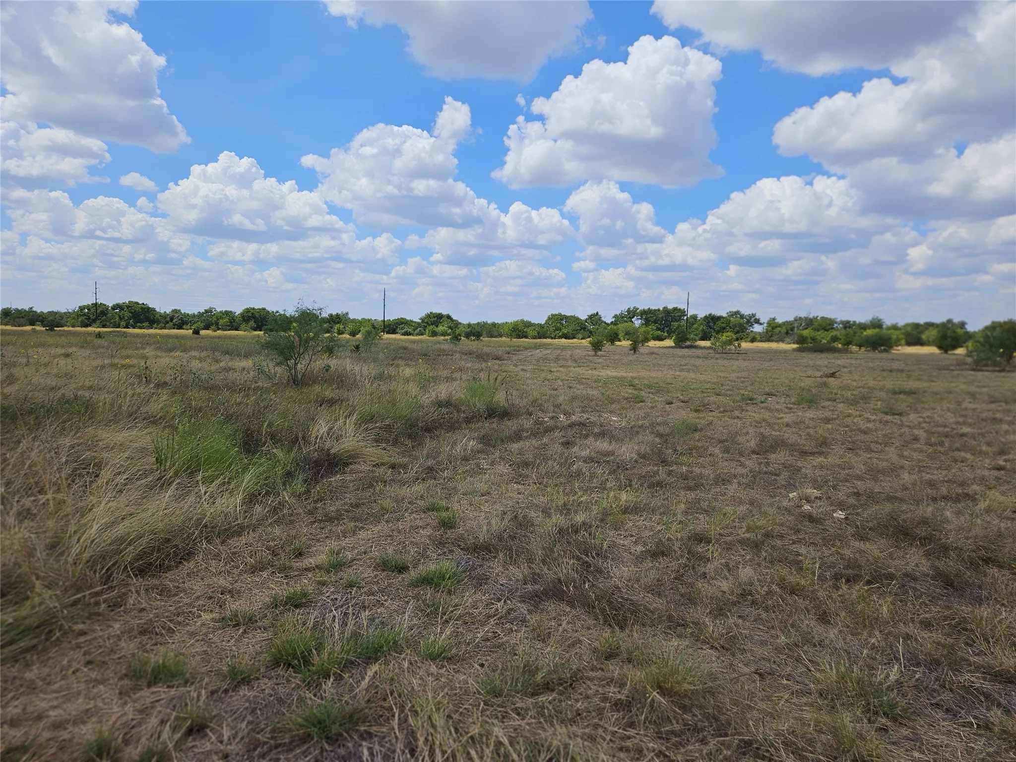 Unimproved Land For Sale in Bosque County , 552 County Road 2655, Walnut Springs, Texas 76690, 0, 0, Garage spaces, 0 Sqft, built in 0, mls#21381305, Real Estate Agent in Walnut Springs, Homes For Sale in Bosque county, Homes For Sale in Walnut Springs, Realtor in Walnut Springs Texas, Real Estate Brokerage Independent Realty Texas, Luminita Cordes Realtor