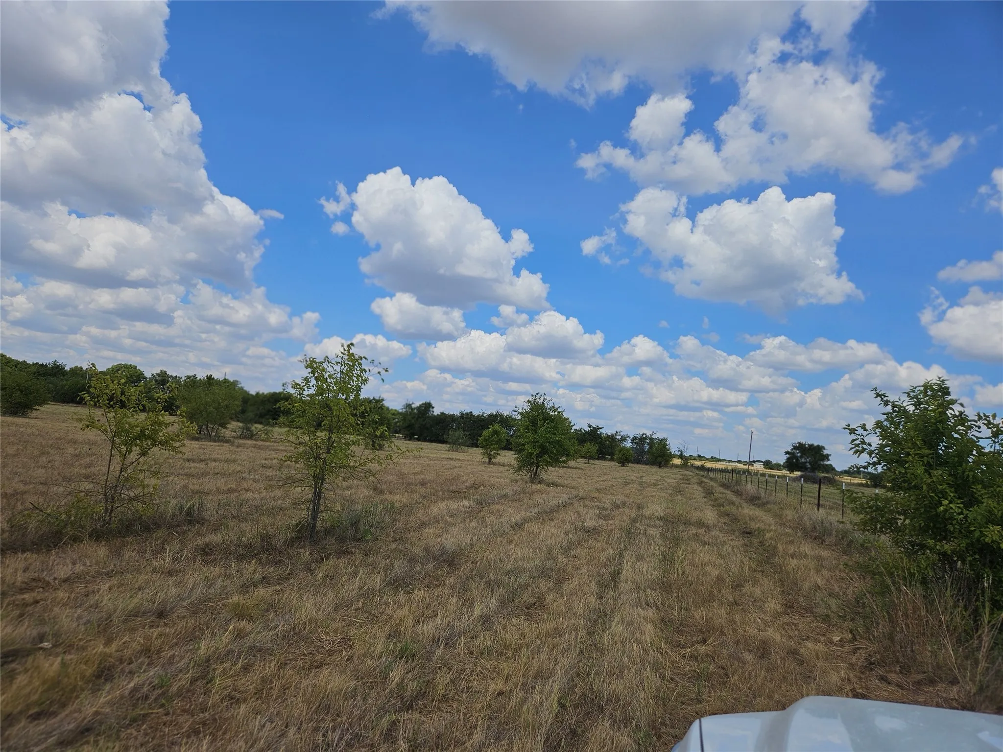 Unimproved Land For Sale in Bosque County , 552 County Road 2655, Walnut Springs, Texas 76690, 0, 0, Garage spaces, 0 Sqft, built in 0, mls#21381305, Real Estate Agent in Walnut Springs, Homes For Sale in Bosque county, Homes For Sale in Walnut Springs, Realtor in Walnut Springs Texas, Real Estate Brokerage Independent Realty Texas, Luminita Cordes Realtor