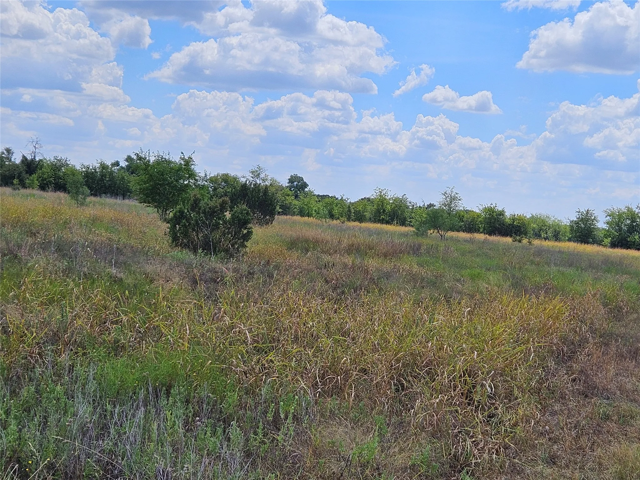 Unimproved Land For Sale in Bosque County , 552 County Road 2655, Walnut Springs, Texas 76690, 0, 0, Garage spaces, 0 Sqft, built in 0, mls#21381305, Real Estate Agent in Walnut Springs, Homes For Sale in Bosque county, Homes For Sale in Walnut Springs, Realtor in Walnut Springs Texas, Real Estate Brokerage Independent Realty Texas, Luminita Cordes Realtor