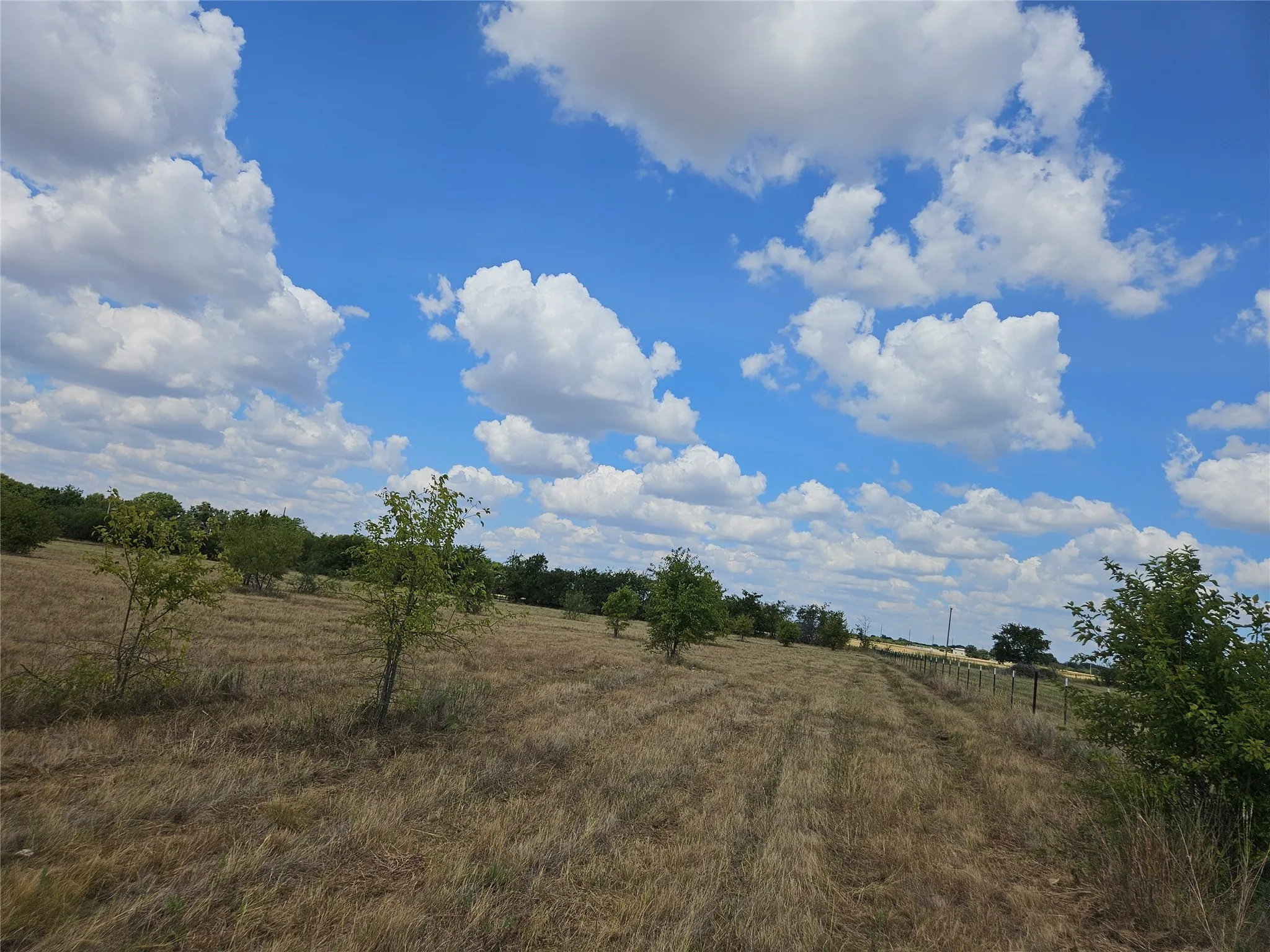 Unimproved Land For Sale in Bosque County , 552 County Road 2655, Walnut Springs, Texas 76690, 0, 0, Garage spaces, 0 Sqft, built in 0, mls#21381305, Real Estate Agent in Walnut Springs, Homes For Sale in Bosque county, Homes For Sale in Walnut Springs, Realtor in Walnut Springs Texas, Real Estate Brokerage Independent Realty Texas, Luminita Cordes Realtor