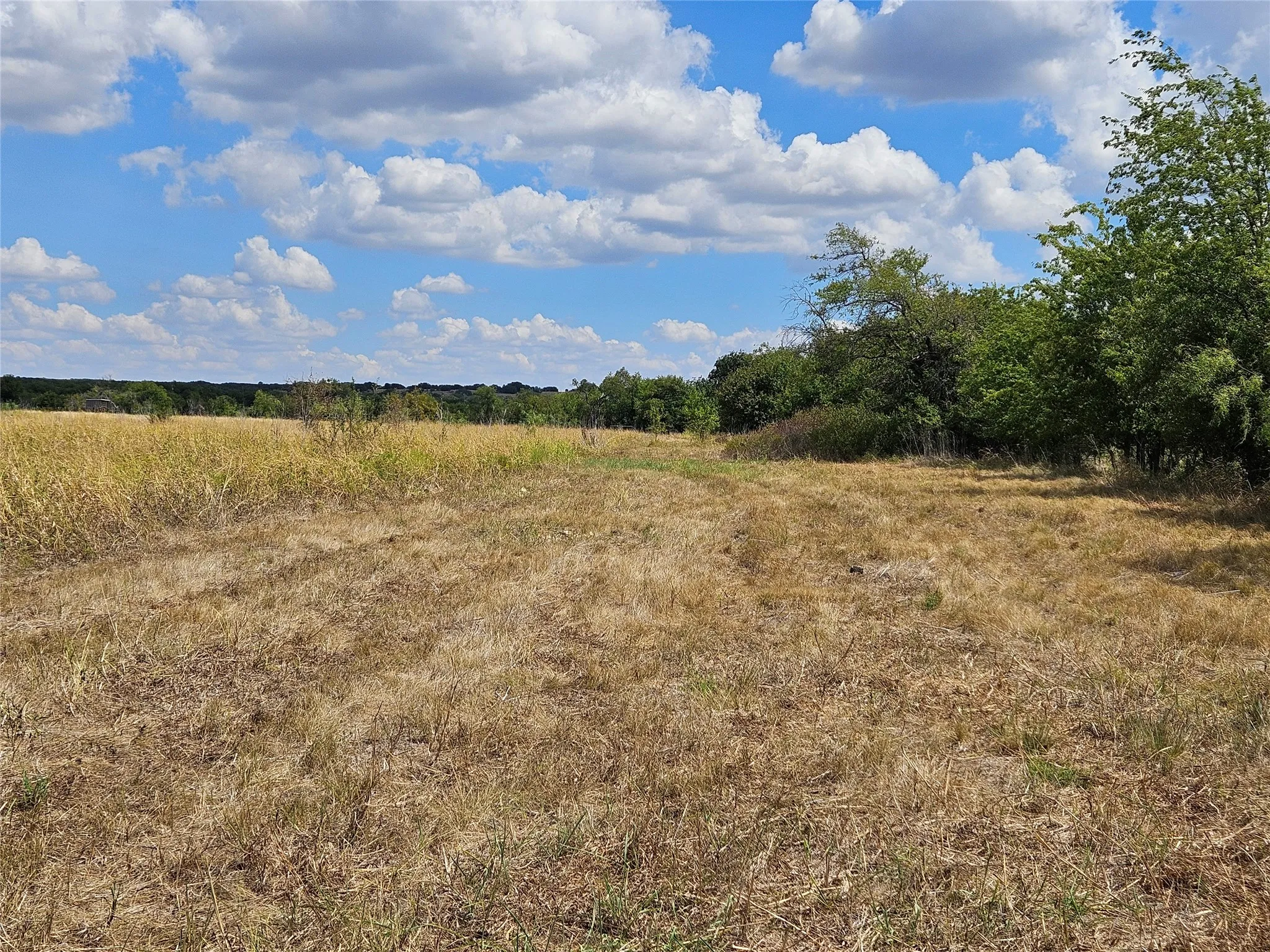 Unimproved Land For Sale in Bosque County , 552 County Road 2655, Walnut Springs, Texas 76690, 0, 0, Garage spaces, 0 Sqft, built in 0, mls#21381305, Real Estate Agent in Walnut Springs, Homes For Sale in Bosque county, Homes For Sale in Walnut Springs, Realtor in Walnut Springs Texas, Real Estate Brokerage Independent Realty Texas, Luminita Cordes Realtor