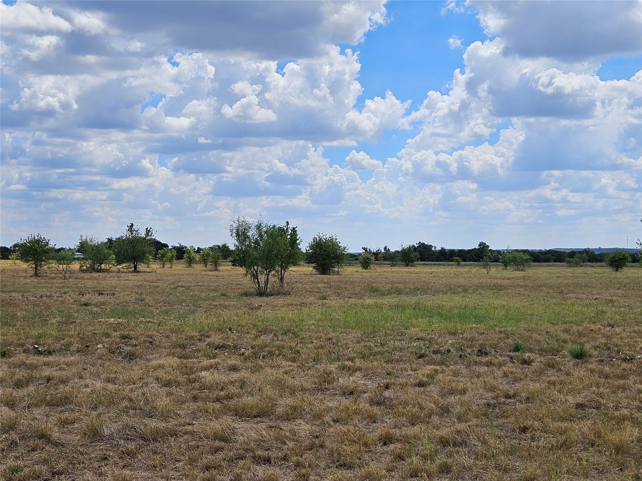 Unimproved Land For Sale in Bosque County , 552 County Road 2655, Walnut Springs, Texas 76690, 0, 0, Garage spaces, 0 Sqft, built in 0, mls#21381305, Real Estate Agent in Walnut Springs, Homes For Sale in Bosque county, Homes For Sale in Walnut Springs, Realtor in Walnut Springs Texas, Real Estate Brokerage Independent Realty Texas, Luminita Cordes Realtor