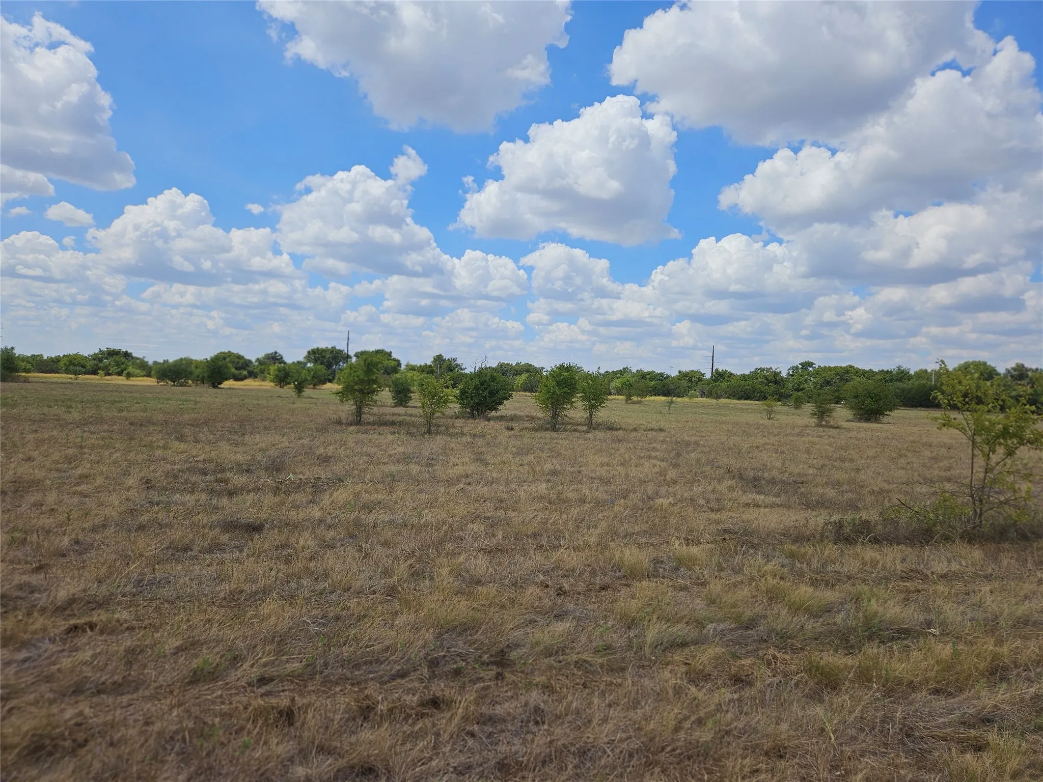 Unimproved Land For Sale in Bosque County , 552 County Road 2655, Walnut Springs, Texas 76690, 0, 0, Garage spaces, 0 Sqft, built in 0, mls#21381305, Real Estate Agent in Walnut Springs, Homes For Sale in Bosque county, Homes For Sale in Walnut Springs, Realtor in Walnut Springs Texas, Real Estate Brokerage Independent Realty Texas, Luminita Cordes Realtor