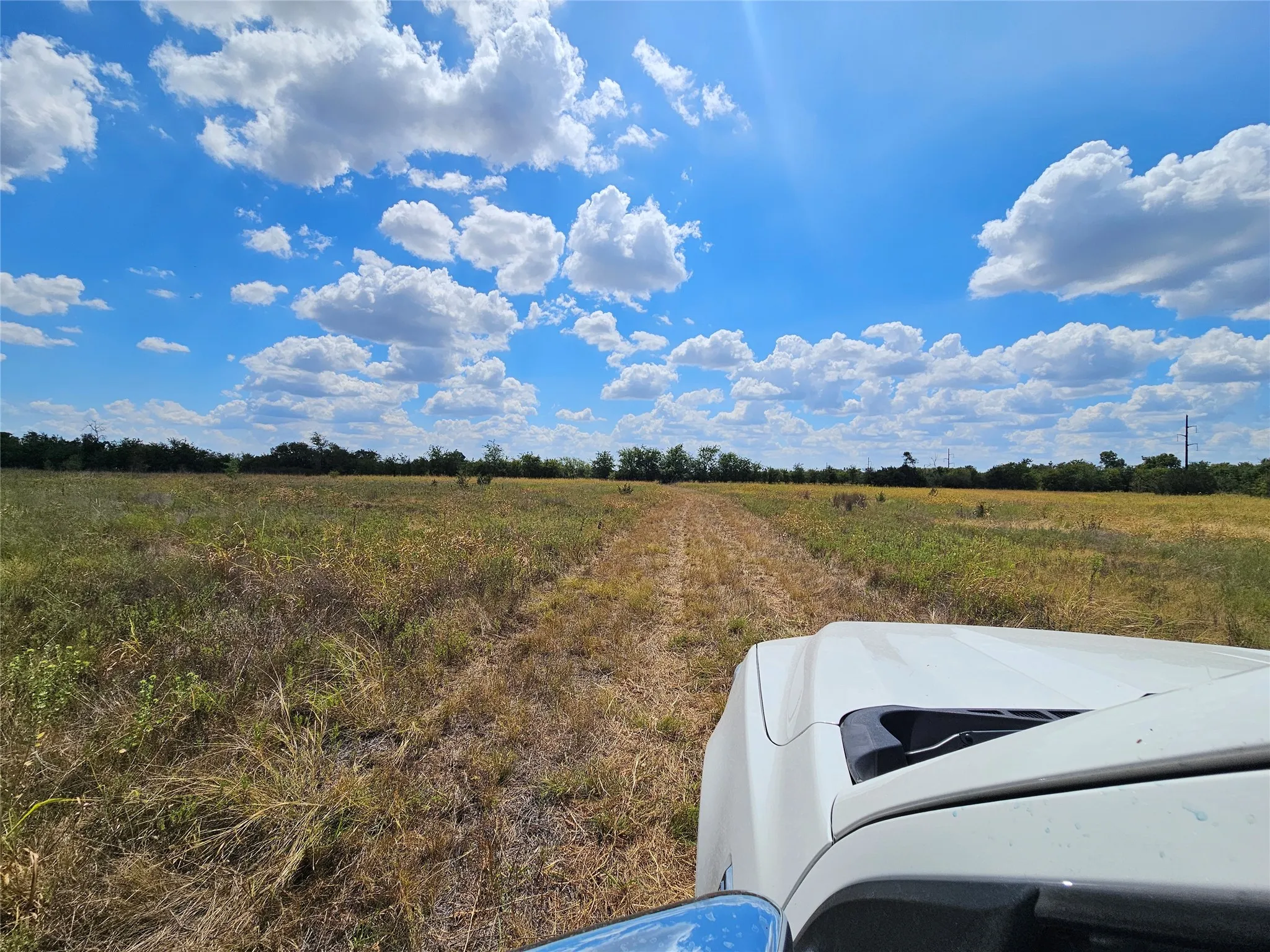 Unimproved Land For Sale in Bosque County , 552 County Road 2655, Walnut Springs, Texas 76690, 0, 0, Garage spaces, 0 Sqft, built in 0, mls#21381305, Real Estate Agent in Walnut Springs, Homes For Sale in Bosque county, Homes For Sale in Walnut Springs, Realtor in Walnut Springs Texas, Real Estate Brokerage Independent Realty Texas, Luminita Cordes Realtor