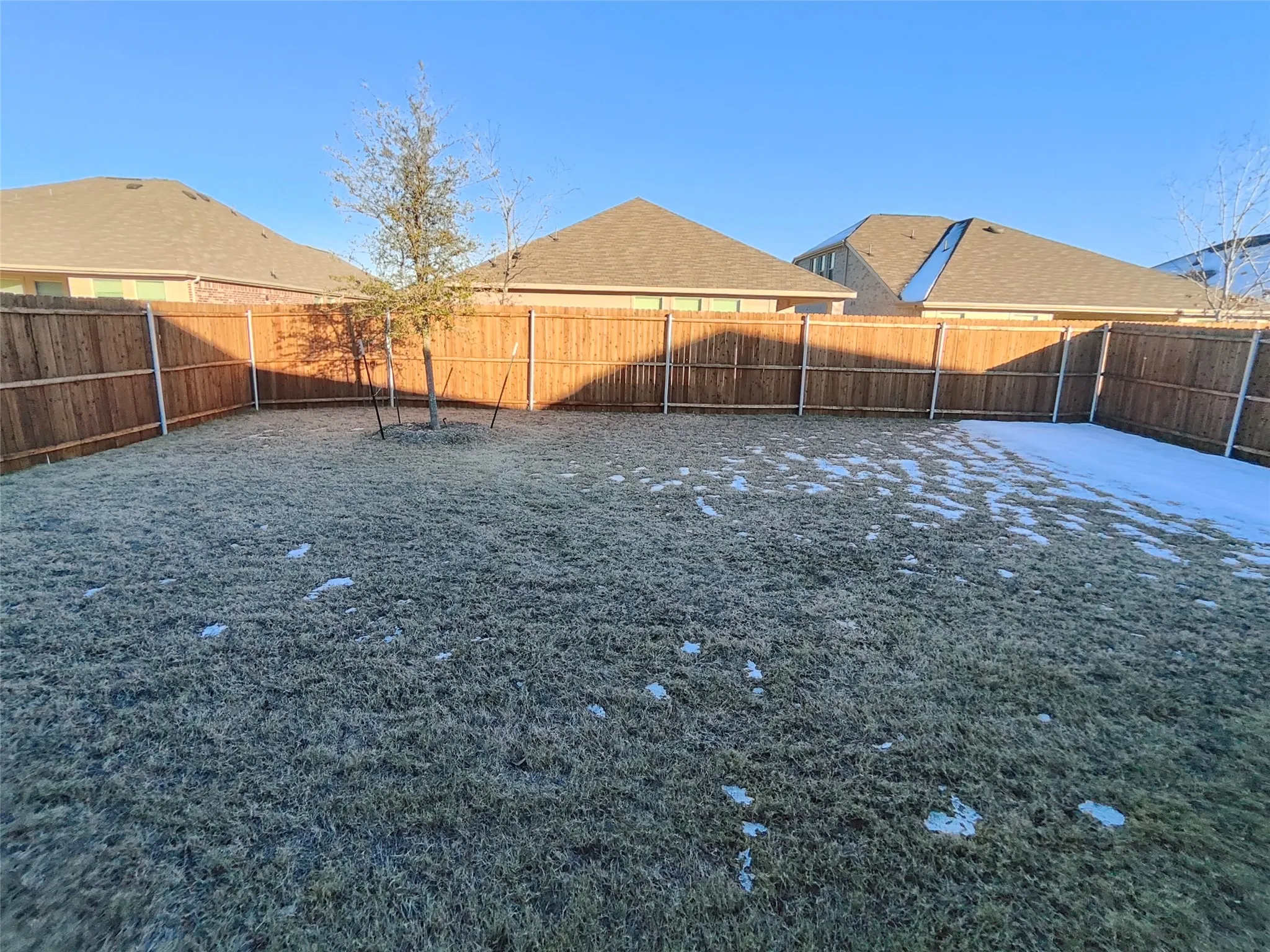 Single Family Residence For Rent in Collin County , 8416 Butterfly Lane, Mc Kinney, Texas 75071, 3 Bedroom, 2 Bathroom, 2 Garage spaces, 1,594 Sqft, built in 2024, mls#21383164, Real Estate Agent in Mc Kinney, Homes For Rent in Collin county, Homes For Rent in Mc Kinney, Realtor in Mc Kinney Texas, Real Estate Brokerage Independent Realty Texas, Luminita Cordes Realtor