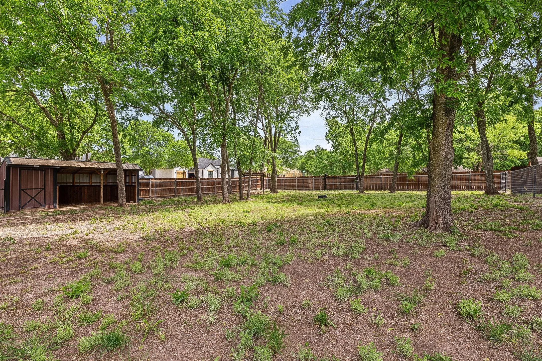 Fenced in Pasture with Loafing Shed