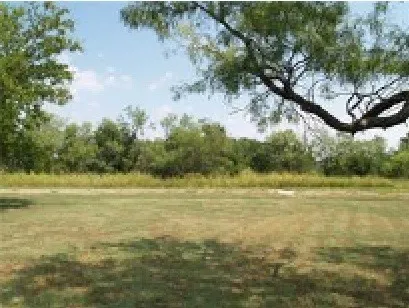 Unimproved Land For Sale in Wise County , Unit 7A Sleepy Meadow Drive, Bridgeport, Texas 76426, 0, 0, Garage spaces, 0 Sqft, built in 0, mls#21383194, Real Estate Agent in Bridgeport, Homes For Sale in Wise county, Homes For Sale in Bridgeport, Realtor in Bridgeport Texas, Real Estate Brokerage Independent Realty Texas, Luminita Cordes Realtor